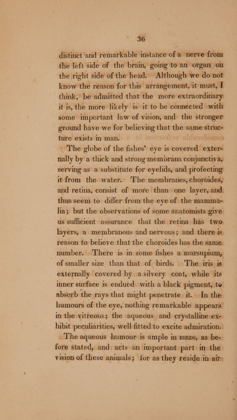 distinct and remarkable instance of a nerve from the left side of the brain, going to an organ on the right side of the head. Although we do not know the reason for this arrangement, it must, I think, be admitted that the more extraordmary: it is, the more likely is it to be connected with some important law of vision, and the stronger ground have we for eee that the same struc- ture exists in man. 6°15 Dietod The globe of the fishes’ eye is idlidal exter- nally by a thick and strong membrana conjunctiva, serving as a substitute for eyelids, and protectmg it from the water. The membranes, choroides, and retina, consist of more than’ one layer, and. thus seem to differ from the eye of the mamma- lia; but the observations of some anatomists give us sufficient assurance that the retina has two layers, a membranous and nervous; and there is. reason to believe that the choroides has the same number. There is in some fishes a marsupium, of smaller size than that of birds. |The. iris is externally covered by asilvery coat, while its inner surface is endued with a black pigment, te absorb the rays that might penetrate it. In the humours of the eye, nothing remarkable appears: in the vitreous; the aqueous and crystalline ex- hibit peculiarities, well fitted to excite admiration. ~The aqueous humour is ample in sirps, as be- fore stated, and acts an important part inothe vision of these animals; for as they reside in air