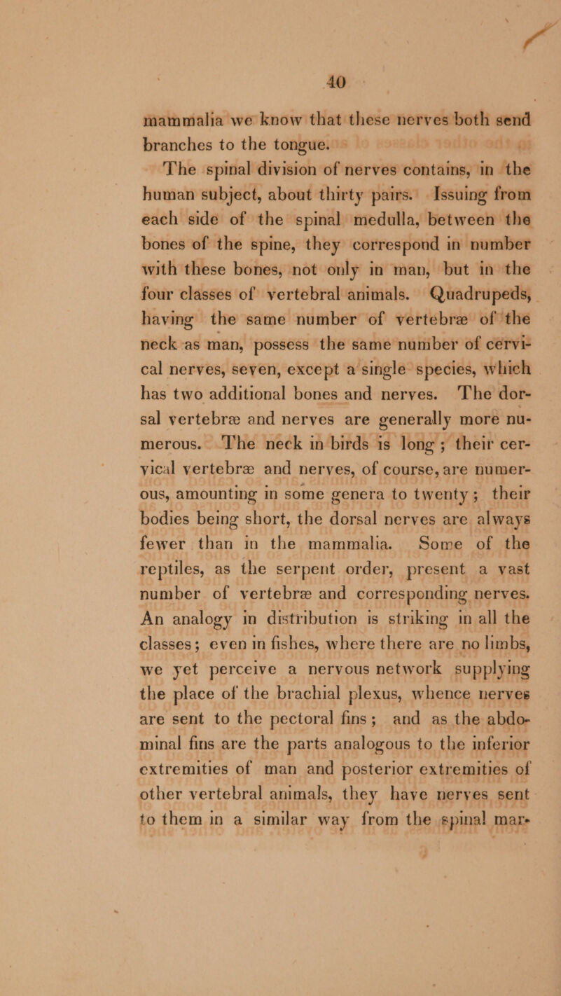 a 40 mammalia we know that these nerves both send branches to the tongue. — alto odd The spinal division of nerves contains, in the human subject, about thirty pairs. Issuing from each side of the spinal medulla, between the bones of the spine, they correspond in number with these bones, not only in man, but in the four classes of vertebral animals. Quadrupeds, having the same number of vertebre of the neck -as man, possess the same number of cervi- cal nerves, seven, except a single species, which has two additional bones and nerves. ‘The dor- sal vertebre and nerves are generally more nu- merous. The neck in birds is long ; their cer- vical vertebre and nerves, of course, are numer- ous, amounting in some genera to twenty; their bodies being short, the dorsal nerves are always fewer than in the mammalia. Some of the reptiles, as the serpent order, present a vast number of vertebre and corresponding nerves. An analogy in distribution is striking in all the classes; even in fishes, where there are no limbs, we yet perceive a neryous network supplying the place of the brachial plexus, whence nerves are sent to the pectoral fins; and as the abdo- minal fins are the parts analogous to the inferior extremities of man and posterior extremities of other vertebral animals, they have neryes sent to them in a similar way from the spinal mars
