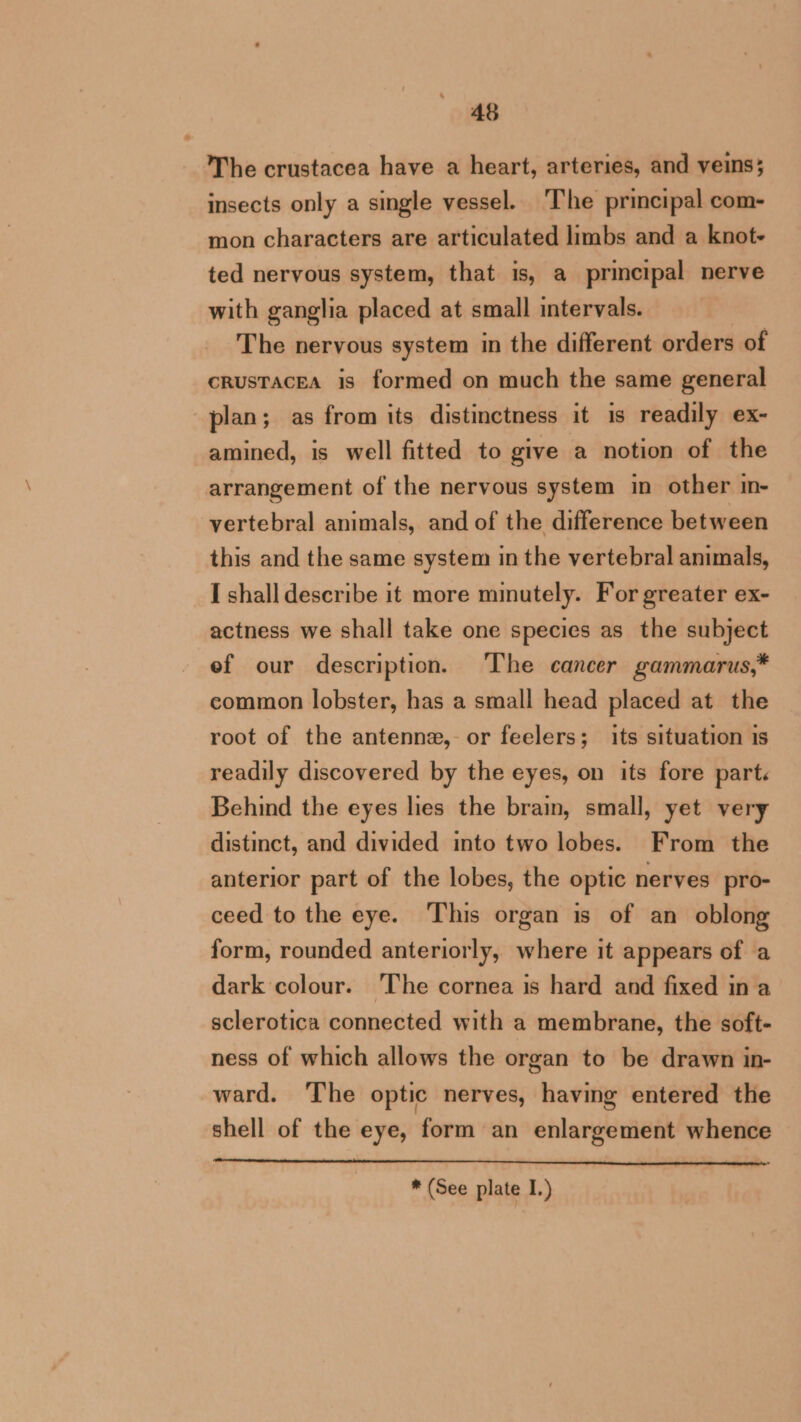 The crustacea have a heart, arteries, and veins; insects only a single vessel. The principal com- mon characters are articulated limbs and a knot- ted nervous system, that is, a principal nerve with ganglia placed at small intervals. The nervous system in the different orders of cRusTAcEA is formed on much the same general plan; as from its distinctness it is readily ex- amined, is well fitted to give a notion of the arrangement of the nervous system in other in- vertebral animals, and of the difference between this and the same system in the vertebral animals, I shall describe it more minutely. For greater ex- actness we shall take one species as the subject ef our description. The cancer gammarus,* common lobster, has a small head placed at the root of the antenne,- or feelers; its situation is readily discovered by the eyes, on its fore part. Behind the eyes lies the brain, small, yet very distinct, and divided into two lobes. From the anterior part of the lobes, the optic nerves pro- ceed to the eye. This organ is of an oblong form, rounded anteriorly, where it appears of a dark colour. ‘The cornea is hard and fixed in a sclerotica connected with a membrane, the soft- ness of which allows the organ to be drawn in- ward. The optic nerves, having entered the shell of the eye, form an enlargement whence * (See plate I.)