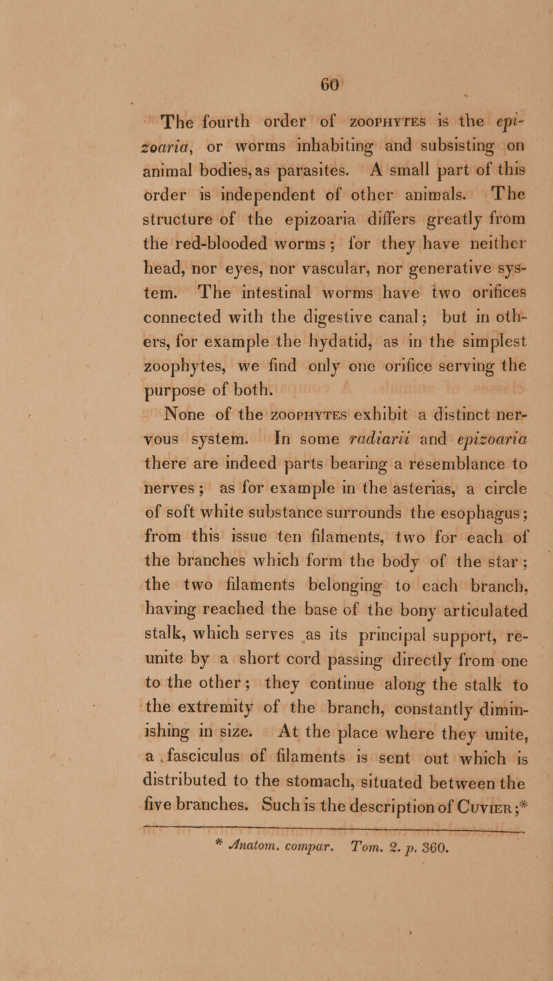 The fourth order of zoopnyres is the epi- zoaria, or worms inhabiting and subsisting on animal bodies,as parasites. A small part of this order is independent of other animals. The structure of the epizoaria differs greatly from the red-blooded worms; for they have neither head, nor eyes, nor vascular, nor generative sys- tem. The intestinal worms have two orifices connected with the digestive canal; but in oth- ers, for example the hydatid, as in the simplest zoophytes, we find only one orifice serving the purpose of both. None of the zoorpnyres exhibit a distinct ner- vous system. In some radiariz and epizoaria there are indeed parts bearing a resemblance to nerves; as for example in the asterias, a circle of soft white substance surrounds the esophagus; from this issue ten filaments, two for each of the branches which form the body of the star ; the two filaments belonging to each branch, having reached the base of the bony articulated stalk, which serves as its principal support, re- unite by a short cord passing directly from one to the other; they continue along the stalk to the extremity of the branch, constantly dimin- ishing in size. At the place where they unite, a .fasciculus of filaments is sent out which is distributed to the stomach, situated between the five branches. Such is the description of Cuvier ;* * Anatom, compar. T'om. 2. p. 360.