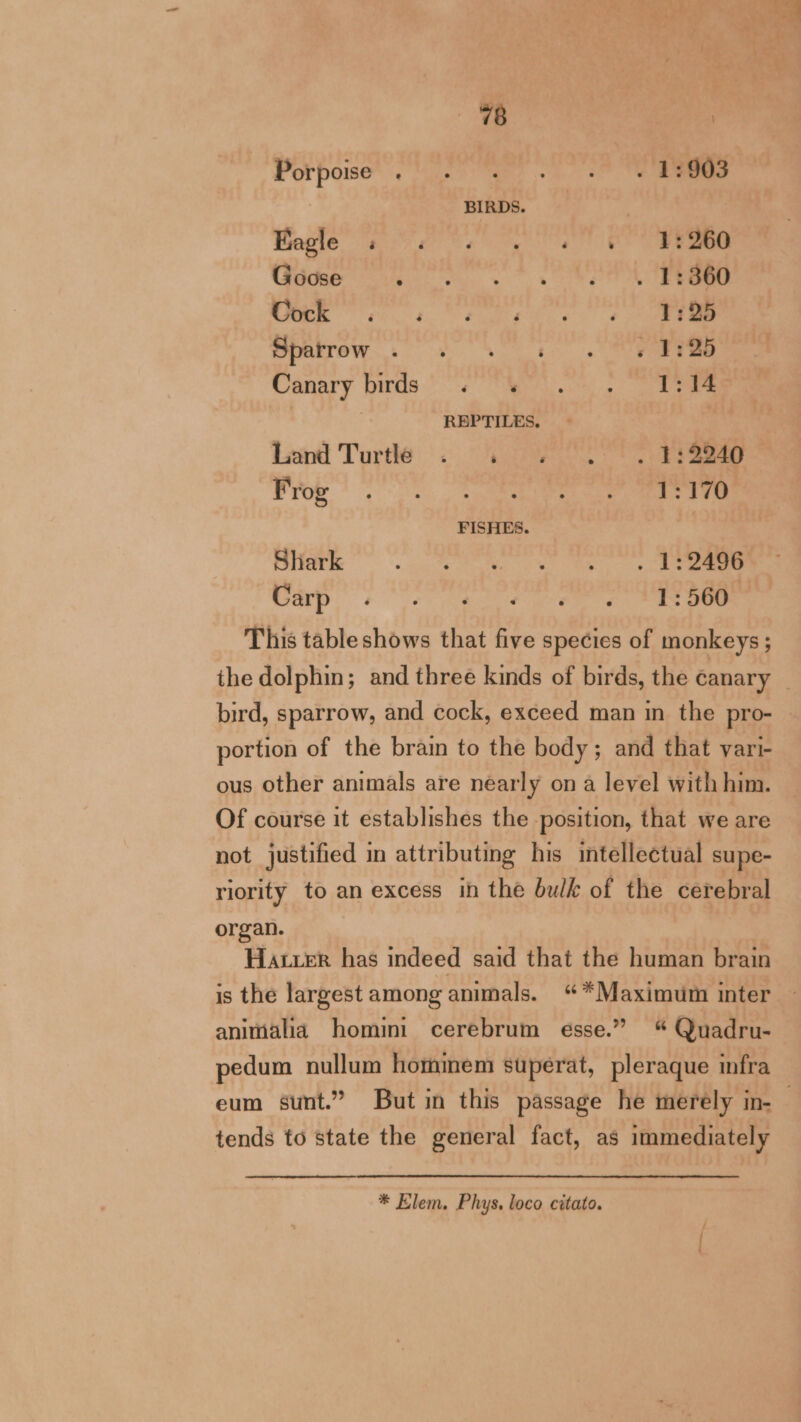 Porpoise. Wiese: a se ee BIRDS. Bogle se Nag a OS Goose ‘ . 1:360 Cock 1:25 Sparrow ' s 3:26 Canary birds « « 1:14 REPTILES. Lond Turtle &lt;« “oe US ee ga Frog Ta RI AE 1:170 FISHES. | Siar ee ee en Carp Pinch ts i iis or wy This table shows that five species of monkeys ; the dolphin; and three kinds of birds, the canary bird, sparrow, and cock, exceed man in the pro- portion of the brain to the body; and that vari- ous other animals are nearly ona level with him. Of course it establishes the position, that we are not justified in attributing his intellectual supe- riority to an excess in the bulk of the cerebral organ. | Hatxer has indeed said that the human brain is the largest among animals. «Maximum inter animalia homini cerebrum esse.” % Quadru- pedum nullum hommem superat, pleraque infra tends to state the general fact, as immediately * Elem. Phys, loco citato.