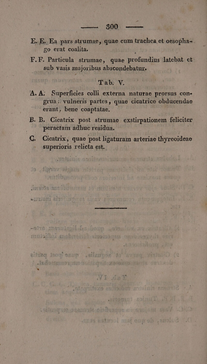E. E. Ea pars sirumae, quae cum trachea et oesopha- go erat coalita. F.F. Particula strumae, quae profundius latebat et sub vasis majoribus abscondebatur. Tab. V. A. A; Superficies colli externa naturae prorsus con- grua:. vulneris partes, quae cicatrice obducendae erant, bene coaptatae. B. B. Cicatrix post strumae exstirpationem feliciter peractam adhuc residua. Q. Cicatrix, quae post ligaturam arteriae thyrcoideae superioris relicta est.