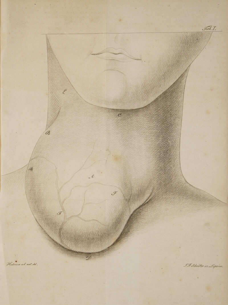  aem et eel nat. ot , en It