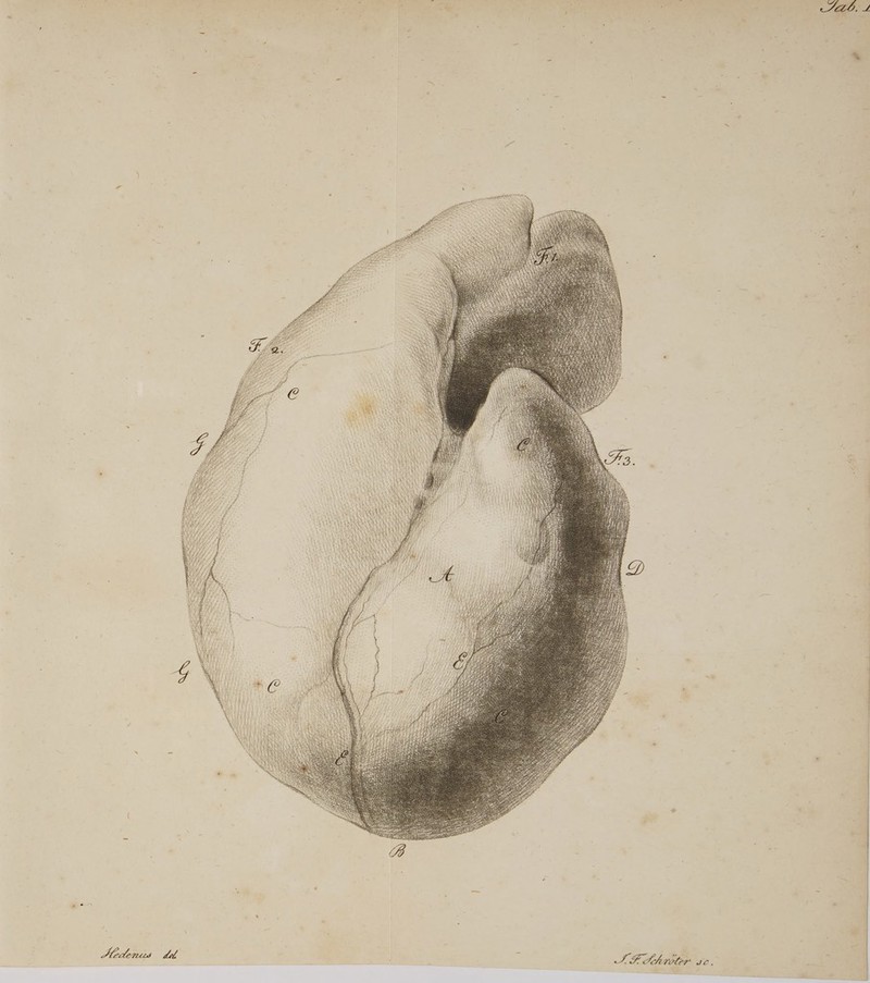 2, v E M ovtor ac. abes da