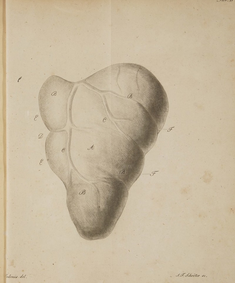 mA h - t [ e des f ». T IN ^ :  i s ; ww. es P ; . ^ Md dasc^