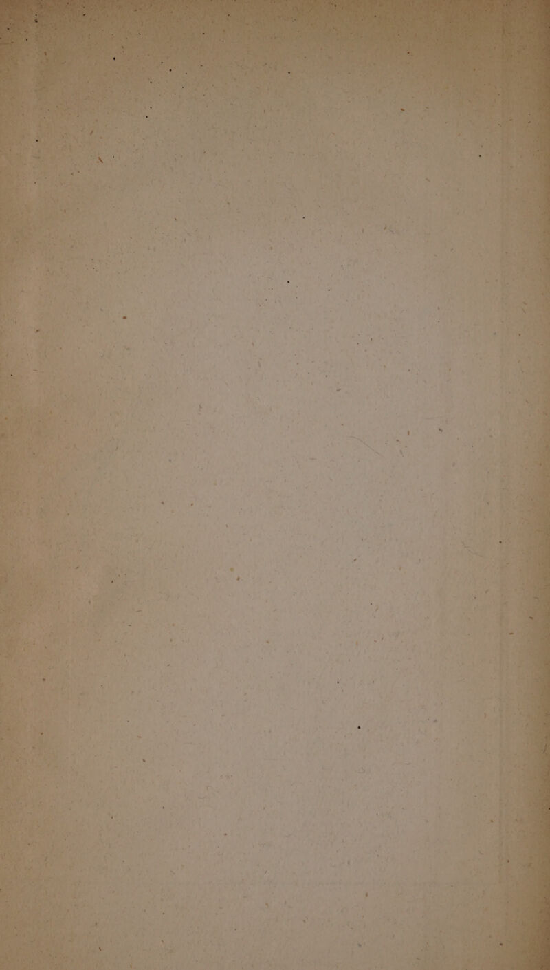 Oh. (PURSE LORD i us 4 * 26 E in td M e