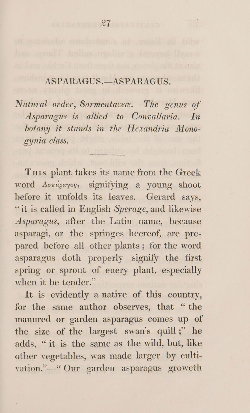 ASPARAGUS.—ASPARAGUS. Natural order, Sarmentacee. The genus of Asparagus is allied to Convallaria. In botany it stands in the Hexandria Mono- gynia class. a Tuis plant takes its name from the Greek word Aczagayoc, signifying a young shoot before it unfolds its leaves. Gerard says, “it is called in Enghsh Sperage, and likewise Asparagus, after the Latin name, because asparagi, or the springes heereof, are pre- pared before all other plants ; for the word asparagus doth properly signify the first spring or sprout of euery plant, especially when it be tender.” It is evidently a native of this country, for the same author observes, that ‘ the manured or garden asparagus comes up of the size of the largest swan’s quill;” he adds, “it is the same as the wild, but, like other vegetables, was made larger by culti- vation.” —“ Our garden asparagus growet