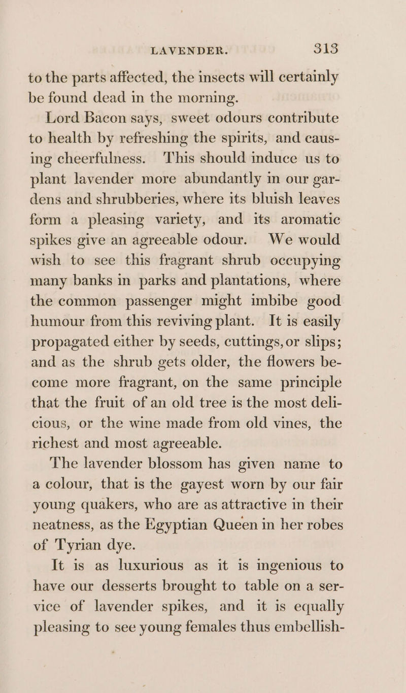 to the parts affected, the insects will certainly be found dead in the morning. Lord Bacon says, sweet odours contribute to health by refreshing the spirits, and caus- ing cheerfulness. This should induce us to plant lavender more abundantly in our gar- dens and shrubberies, where its bluish leaves form a pleasing variety, and its aromatic spikes give an agreeable odour. We would wish to see this fragrant shrub occupying many banks in parks and plantations, where the common passenger might imbibe good humour from this reviving plant. It is easily propagated either by seeds, cuttings, or slips; and as the shrub gets older, the flowers be- come more fragrant, on the same principle that the fruit of an old tree is the most deli- cious, or the wine made from old vines, the richest and most agreeable. The lavender blossom has given name to a colour, that is the gayest worn by our fair young quakers, who are as attractive in their neatness, as the Egyptian Queen in her robes of Tyrian dye. It is as luxurious as it is ingenious to have our desserts brought to table on a ser- vice of lavender spikes, and it is equally pleasing to see young females thus embellish-