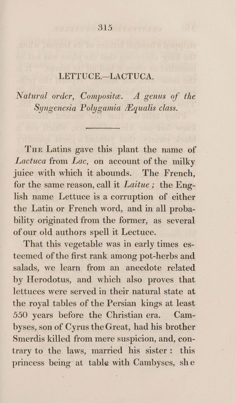 LETTUCE.—LACTUCA. Natural order, Composite. A genus of the Syngenesia Polygamia A:qualis class. Tue Latins gave this plant the name of Lactuca from Lac, on account of the milky juice with which it abounds. The French, for the same reason, call it Laitue ; the Eng- lish name Lettuce is a corruption of either the Latin or French word, and in all proba- bility originated from the former, as several of our old authors spell it Lectuce. That this vegetable was in early times es- teemed of the first rank among pot-herbs and salads, we learn from an anecdote related by Herodotus, and which also proves that lettuces were served in their natural state at the royal tables of the Persian kings at least 550 years before the Christian era. Cam- byses, son of Cyrus the Great, had his brother Smerdis killed from mere suspicion, and, con- trary to the laws, married his sister: this princess being at table with Cambyses, she