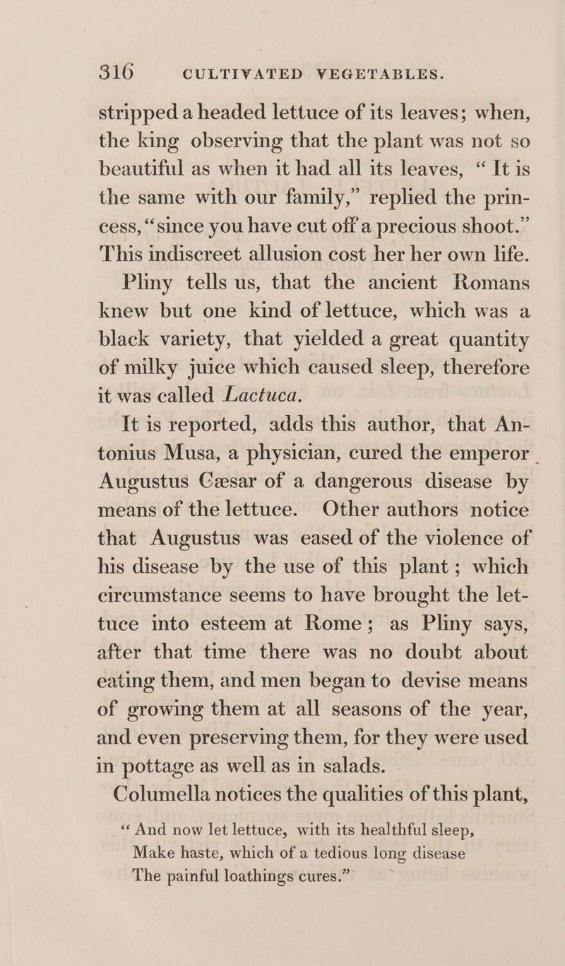stripped a headed lettuce of its leaves; when, the king observing that the plant was not so beautiful as when it had all its leaves, “ It is the same with our family,” replied the prin- cess, “since you have cut off a precious shoot.” This indiscreet allusion cost her her own life. Pliny tells us, that the ancient Romans knew but one kind of lettuce, which was a black variety, that yielded a great quantity of milky juice which caused sleep, therefore it was called Lactuca. It is reported, adds this author, that An- tonius Musa, a physician, cured the emperor Augustus CGeesar of a dangerous disease by means of the lettuce. Other authors notice that Augustus was eased of the violence of his disease by the use of this plant ; which circumstance seems to have brought the let- tuce into esteem at Rome; as Pliny says, after that time there was no doubt about eating them, and men began to devise means of growing them at all seasons of the year, and even preserving them, for they were used in pottage as well as in salads. Columella notices the qualities of this plant, “ And now let lettuce, with its healthful sleep, Make haste, which of a tedious long disease The painful loathings cures.”