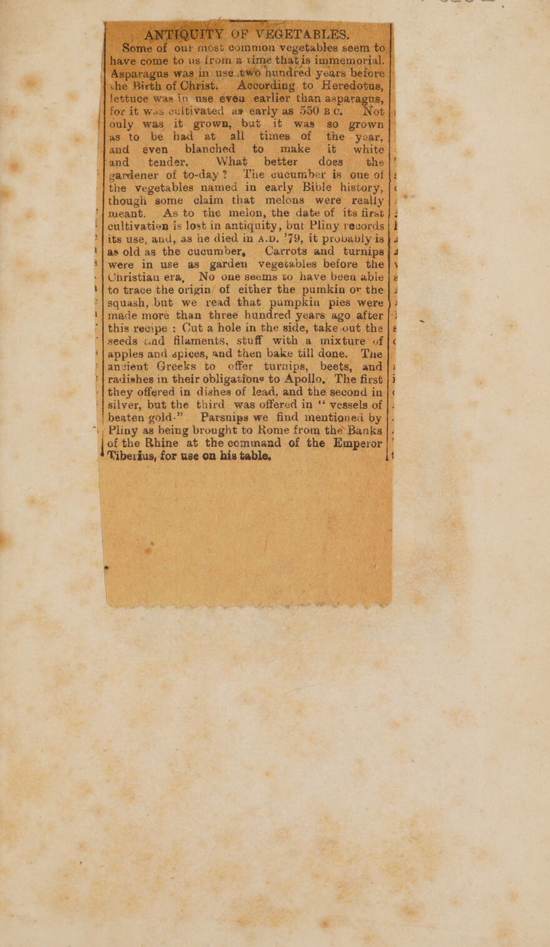 | the. somes ied geet in early B ‘though some claim that melons — ip meant. AS to he or Gat Gy squash, but we read that cae pies W made more than three hundred years. ag this recipe ; Cut a hole in the side, ake seeds cad filaments, stuff with a mi: >} apples and spices, and then bake till done | ancient Greeks to offer turnips, beet: ie radishes in their obligations to Apollo, The 1 they offered in dishes of lead, and the second. ‘| silyer, but the third was offered i in ‘* vessels. beaten gold-” Parsnips we find menti 1; Pliny as being brought to Rome from th Ban ls the Rhine at the commend ¢ of ae, imper sears — use on his Lena