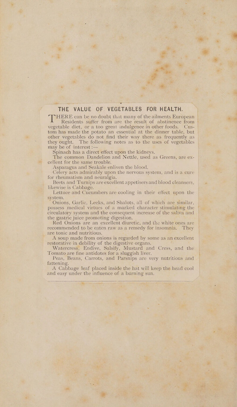 é 2 “ ” ; + a. oe » * *~ ry ee i: ‘ es eS HERE can be no doubt that many of the ailments European Residents suffer from are the result of abstinence from vegetable diet, or a too great indulgence in other foods. Cus- | tom has made the potato an essential at the dinner table, but | other vegetables do not find their way there as frequently as | they ought. The following notes as to the uses of vegetables may be of interest :— Spinach has a direct effect upon the kidneys. The common Dandelion and Nettle, used as Greens, are ex- cellent for the same trouble. Asparagus and Seakale enliven the blood. Celery acts admirably upon the nervous system, and is a cure for rheumatism and neuralgia. Beets and Turnips are excellent appetisers and blood cleansers, likewise is Cabbage. Lettuce and Cucumbers are cooling in their effect upon the system. Onions, Garlic, Leeks, and Shalots, all of which are similar, possess medical virtues of a marked character stimulating the circulatory system and the consequent increase of the saliva and the gastric juice promoting digestion. Red Onions are an excellent diuretic, and the white ones are recommended to be eaten raw as a remedy for insomnia. They are tonic and nutritious. A soup made from onions is regarded by some as an excellent restorative in debility of the digestive organs. Watercress, Endive, Salsify, Mustard and Cress, and the Tomato are fine antidotes for a sluggish liver. Peas, Beans, Carrots, and Parsnips are very nutritious and fattening. A Cabbage leaf placed inside the hat will keep the head cool and easy under the influence of a burning sun. |