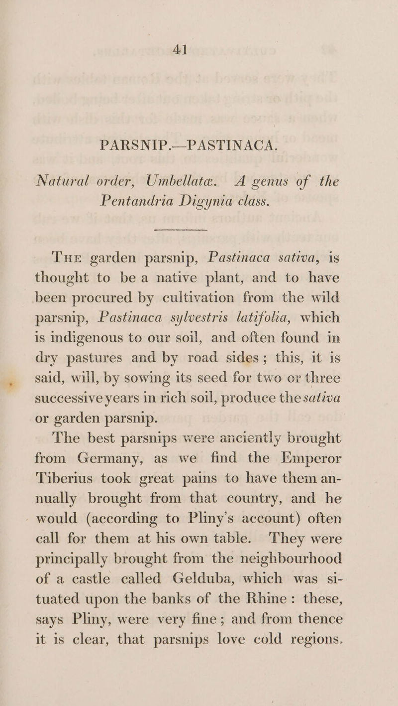 4] PARSNIP.—PASTINACA. Natural order, Umbellate. A genus of the Pentandria Digynia class. Tue garden parsnip, Pastinaca satiwa, is thought to bea native plant, and to have been procured by cultivation from the wild parsnip, Pastinaca sylvestris latifolka, which is indigenous to our soil, and often found in dry pastures and by road sides; this, it is said, will, by sowing its seed for two or three successive years in rich soil, produce the sativa or garden parsnip. The best parsnips were anciently brought from Germany, as we find the Emperor Tiberius took great pains to have them an- nually brought from that country, and he - would (according to Pliny’s account) often call for them at his own table. They were principally brought from the neighbourhood of a castle called Gelduba, which was si- tuated upon the banks of the Rhine: these, says Pliny, were very fine; and from thence it is clear, that parsnips love cold regions.