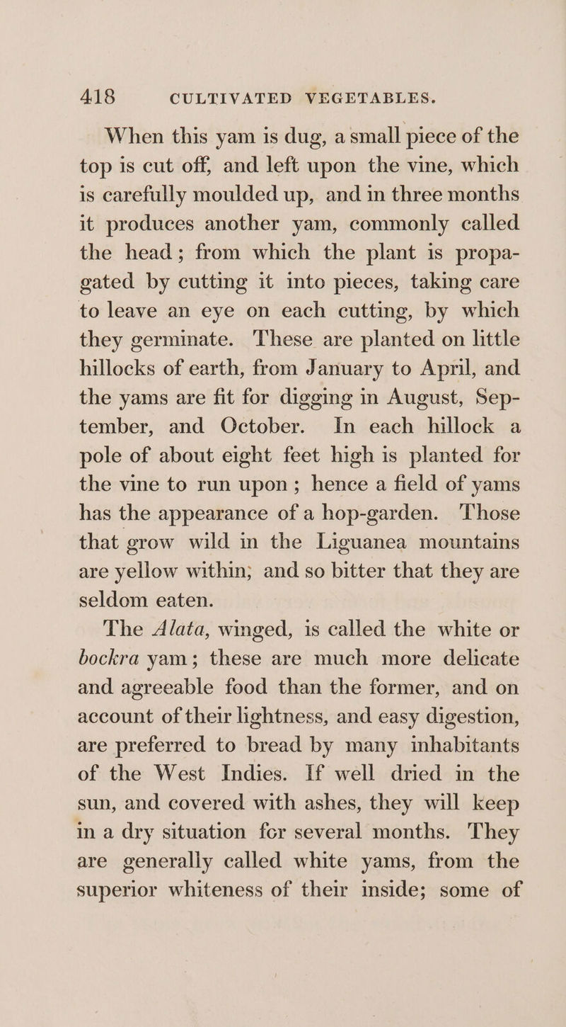 When this yam is dug, a small piece of the top is cut off, and left upon the vine, which is carefully moulded up, and in three months it produces another yam, commonly called the head; from which the plant is propa- gated by cutting it into pieces, taking care to leave an eye on each cutting, by which they germinate. These are planted on little hillocks of earth, from January to April, and the yams are fit for digging in August, Sep- tember, and October. In each hillock a pole of about eight feet high is planted for the vine to run upon; hence a field of yams has the appearance of a hop-garden. Those that grow wild in the Liguanea mountains are yellow within; and so bitter that they are seldom eaten. The Alata, winged, is called the white or bockra yam; these are much more delicate and agreeable food than the former, and on account of their lightness, and easy digestion, are preferred to bread by many inhabitants of the West Indies. If well dried in the sun, and covered with ashes, they will keep in a dry situation fcr several months. They are generally called white yams, from the superior whiteness of their imside; some of