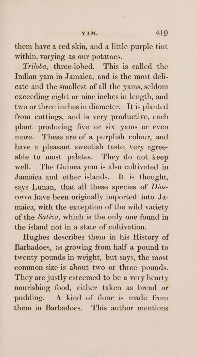 them have a red skin, and a little purple tint within, varying as our potatoes. Triloba, three-lobed. This is called the Indian yam in Jamaica, and is the most deli- cate and the smallest of all the yams, seldom exceeding eight or nine inches in length, and two or three inches in diameter. It is planted from cuttings, and is very productive, each plant producing five or six yams or even more. These are of a purplish colour, and have a pleasant sweetish taste, very agree- able to most palates. They do not keep well. The Guinea yam is also cultivated in Jamaica and other islands. It is thought, says Lunan, that all these species of Dios- corea have been originally imported into Ja- maica, with the exception of the wild variety of the Sativa, which is the only one found in the island not in a state of cultivation. Hughes describes them in his History of Barbadoes, as growing from half a pound to twenty pounds in weight, but says, the most common size 1s about two or three pounds. They are justly esteemed to be a very hearty nourishing food, either taken as bread or pudding. A. kind of flour is made from them in Barbadoes. This author mentions