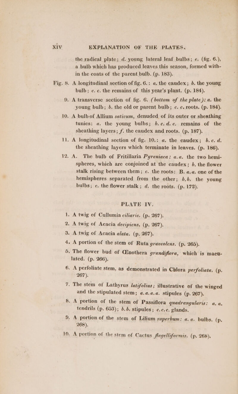 the radical plate; d. young lateral leaf bulbs; e. (fig. 6.), a bulb which has produced leaves this season, formed with- in the coats of the parent bulb. (p. 183). Fig. 8. A longitudinal section of fig. 6.: a. the caudex; 6. the young bulb; c. c. the remains of this year’s plant. (p. 184). 9. A transverse section of fig. 6. (bottom of the plate): a. the young bulb; 6. the old or parent bulb; c. c. roots. (p. 184). 10. A bulb of Allium sativum, denuded of its outer or sheathing tunics: a. the young bulbs; b.c.d.e. remains of the sheathing layers; f. the caudex and roots. (p. 187). 11. A longitudinal section of fig. 10.: a. the caudex; b.c. d. the sheathing layers which terminate in leaves. (p. 186). 12, A. The bulb of Fritillaria Pyreniaca: a.a. the two hemi- spheres, which are conjoined at the caudex; 0. the flower Stalk rising between them; c. the roots: B. a.a. one of the hemispheres separated from the other; 6.6. the young bulbs; c. the flower stalk ; d. the roots: (p. 172). PLATE Iv. 1. A twig of Cullumia ciliaris. (p. 267). 2. A twig of Acacia decipiens, (p. 267). 3. A twig of Acacia alata. (p. 267). 4. A portion of the stem of Ruta graveolens. (p. 265). 5. The flower bud of CEnothera grandiflora, which is mact- lated. (p. 266). 1 6. A perfoliate stem, as demonstrated in Chlora perfoliata, (p. 267). 7. The stem of Lathyrus latifolius; illustrative of the winged and the stipulated stem; a.a.a.a. stipules (p. 267). 8. A portion of the stem of Passiflora quadranguluris: a.a _ tendrils (p. 653); 6.6. stipules; c. c.c. glands, 9. A portion of the stem of Lilium superbum: a.a. bulbs. (p. 268).