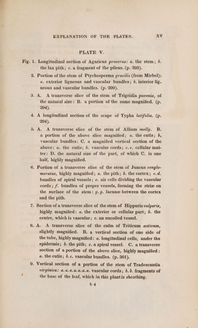 PLATE V. the lax pith; c. a fragment of the pileus. (p. 293). 2. Portion of the stem of Ptychosperma gracilis (from Mirbel);: a. exterior ligneous and vascular bundles; 0. interior lig. neous and vascular bundles. (p. 299). 3. A. A transverse slice of the stem of Trigridia pavonia, of the natural size: B. a portion of the same magnified. (p. 294). 4. A longitudinal section of the scape of Typha latifolia. (p. 294), | 5. A. A transverse slice of the stem of Allium molly. B. ‘a portion of the above slice magnified; a. the cutis; 6, vascular bundles: C. a magnified vertical section of the above: a. the cutis; 6. vascular cords; c.c. cellular mat- ter: D. the natural size of the part, of which C. is one half, highly magnified. 6. Portion of a transverse slice of the stem of Juncus conglo- meratus, highly magnified; a. the pith; b. the cortex; c.d. bundles of spiral vessels; e. air cells dividing the vascular cords ; f. bundles of proper vessels, forming the striz on -the surface of the stem: g.g. lacunz between the cortex and the pith. 7. Section of a transverse slice of the stem of Hippuris vulgaris, highly magnified: a. the exterior or cellular part; 6. the centre, which is vascular; c. an uncoiled vessel. 8. A. A transverse slice of the culm of Triticum estivum, slightly magnified. B. a vertical section of one side of the tube, highly magnified: a. longitudinal cells, under the epidermis; b. the pith; c. a spiral vessel. C. a transverse section of a portion of the above slice, highly magnified : a. the cutis; 6.c. vascular bundles. (p. 301). 9. Vertical section of a portion of the stem of Tradescantia . virgmica: a.a.d,a.a.a.a. vascular cords; b.b. fragments of - the base of the leaf, which in this plantis sheathing. b4