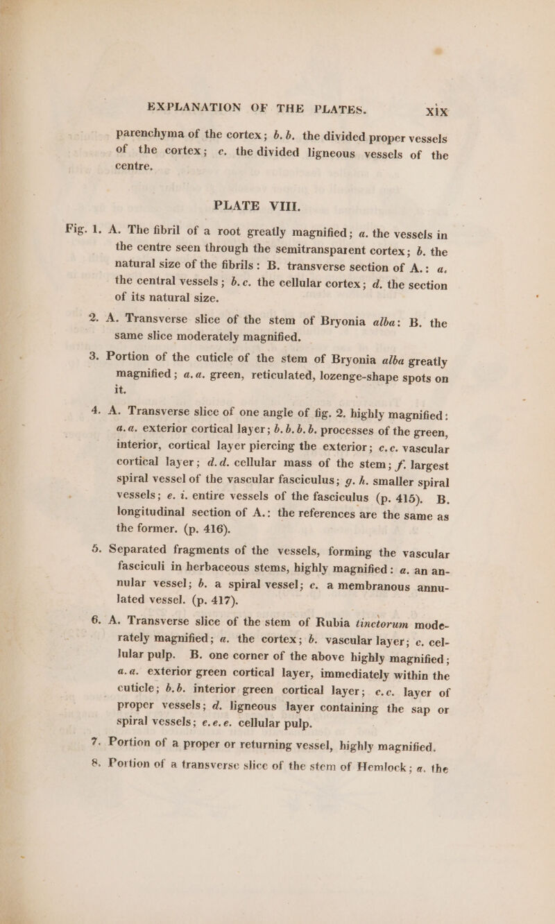 parenchyma of the cortex; 6.5. the divided proper vessels of the cortex; ec. the divided ligneous vessels of the centre. PLATE VIII. Fig. 1. A. The fibril of a root greatly magnified; a. the vessels in the centre seen through the semitransparent cortex; b. the natural size of the fibrils: B. transverse section of A. the central vessels ; b.c. the cellular cortex; d. the section of its natural size. 2. A. Transverse slice of the stem of Bryonia alba: B. the same slice moderately magnified. 3. Portion of the cuticle of the stem of Bryonia alba greatly magnified ; a.a. green, reticulated, lozenge-shape spots on it. 4. A. Transverse slice of one angle of fig. 2. highly magnified : a.a, exterior cortical layer; 6. b.b.b. processes of the green, interior, cortical layer piercing the exterior; c.c. vascular cortical layer; d.d. cellular mass of the stem; J. largest spiral vessel of the vascular fasciculus; g. h. smaller spiral vessels; e. 2. entire vessels of the fasciculus (p. 415). B. longitudinal section of A.: the references are the same as the former. (p. 416). 5. Separated fragments of the vessels, forming the vascular fasciculi in herbaceous stems, highly magnified: a. an an- nular vessel; 6. a spiral vessel; ce. a membranous annu- lated vessel. (p. 417). 6. A. Transverse slice of the stem of Rubia tinctorum mode- rately magnified; a. the cortex; 6. vascular layer; ce. cel- lular pulp. B. one corner of the above highly magnified ; a.a. exterior green cortical layer, immediately within the cuticle; 6.6. interior green cortical layer; c¢.c. layer of proper vessels; d. ligneous layer containing the sap or spiral vessels; e.e.e. cellular pulp. 7. Portion of a proper or returning vessel, highly magnified. 8. Portion of a transverse slice of the stem of Hemlock; a. the