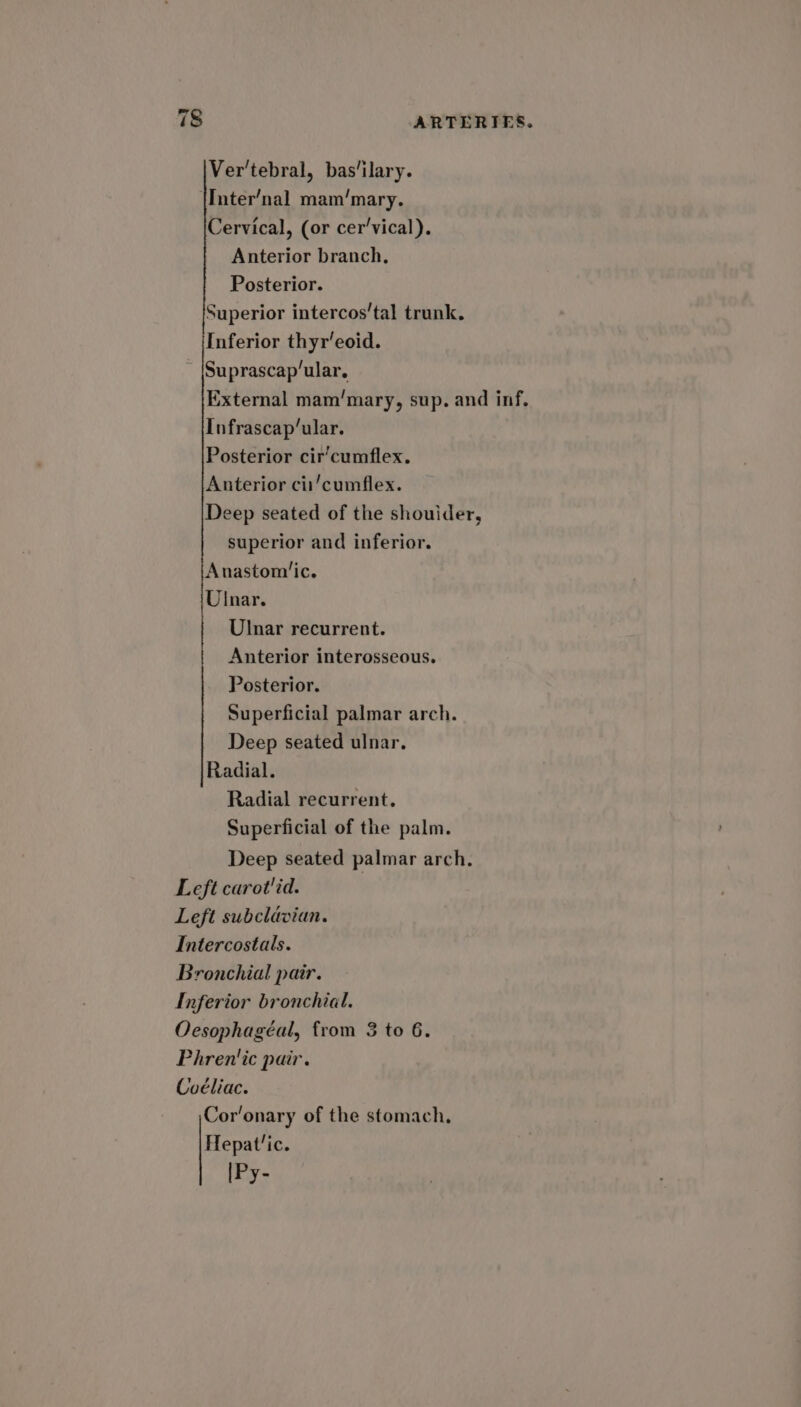 SE Ver'tebral, bas’ilary. {Inter’nal mam/‘mary. Cervical, (or cer'vical). Anterior branch, Posterior. Superior intercos’tal trunk. Inferior thyr’eoid. Suprascap’ular, External mam‘mary, sup. and inf. Infrascap’ular. Posterior circumflex. Anterior cii/cumflex. Deep seated of the shouider, superior and inferior. Anastom’ic. Ulnar. Ulnar recurrent. Anterior interosseous. Posterior. Superficial palmar arch. Deep seated ulnar. Radial. Radial recurrent. Superficial of the palm. Deep seated palmar arch. Left carot'id. Left subclavian. Intercostals. Bronchial pair. Inferior bronchial. Oesophagéal, from 3 to 6. Phren'ic pair. Coéliac. Coronary of the stomach, Hepat’ic. [Py-