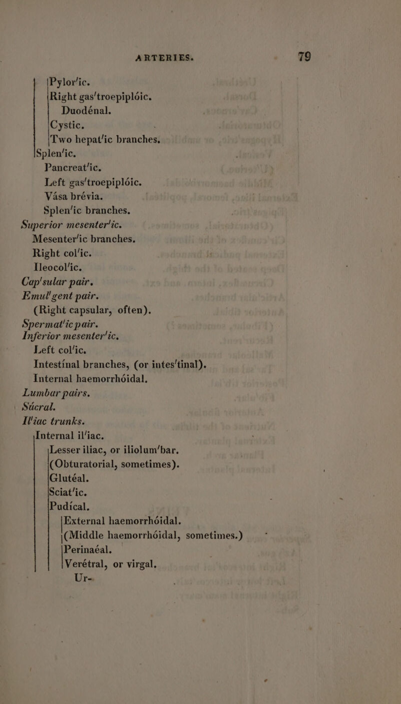 Pylor’ic. Right gas'troepiploic. Duodénal. Cystic. ' Two hepat/ic branches Splen‘ic. Pancreat’ic. Left gas'troepiploic. Vasa brévia. Splen‘ic branches. Superior mesenteric. Mesenter’ic branches. Right colic. Heocol’ic. Cap'sular pair. Emul! gent pair. (Right capsular, often). Spermat'ic pair. Inferior mesenter'ic. Left col’ic, Intestinal branches, (or intes'tinal). Internal haemorrhdidal. Lumbar pairs. | Sacral. Iiac trunks. Internal il/iac. Lesser iliac, or iliolum/bar. (Obturatorial, sometimes). Glutéal. Sciat’ic. Pudical. External haemorrhdidal. \(Middle haemorrhdidal, sometimes.) Perinaéal. Verétral, or virgal. Ur-