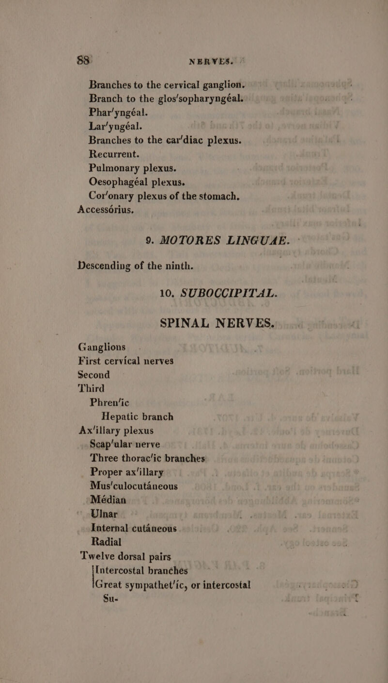 Branches to the cervical ganglion. Branch to the glos'sopharyngéal. Phar'yngéal. Lar'yngéal. Branches to the car’diac plexus. Recurrent. Pulmonary plexus. Oesophageal plexus. Cor’onary plexus of the stomach, Accessorius. 9. MOTORES LINGUAE. Descending of the ninth. 10. SUBOCCIPITAL. SPINAL NERVES. Ganglions First cervical nerves Second Third Phren’‘ic Hepatic branch Ax’illary plexus Scap’ular nerve Three thorac’ic branches Proper ax’illary Mus’culocutaneous Médian Ulnar Internal cutaneous Radial Twelve dorsal pairs Intercostal branches Great sympathet’ic, or intercostal Su-