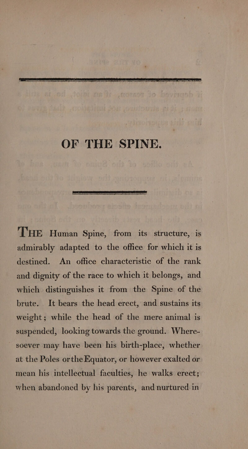 OF THE SPINE. THE Human Spine, from its structure, is admirably adapted to the office for which it is destined. An office characteristic of the rank and dignity of the race to which it belongs, and which distinguishes it from the Spine of the brute. It bears the head erect, and sustains its weight; while the head of the mere animal is suspended, looking towards the ground. Where- soever may have been his birth-place, whether at the Poles orthe Equator, or however exalted or mean his intellectual faculties, he walks erect; when abandoned by his parents, and nurtured in