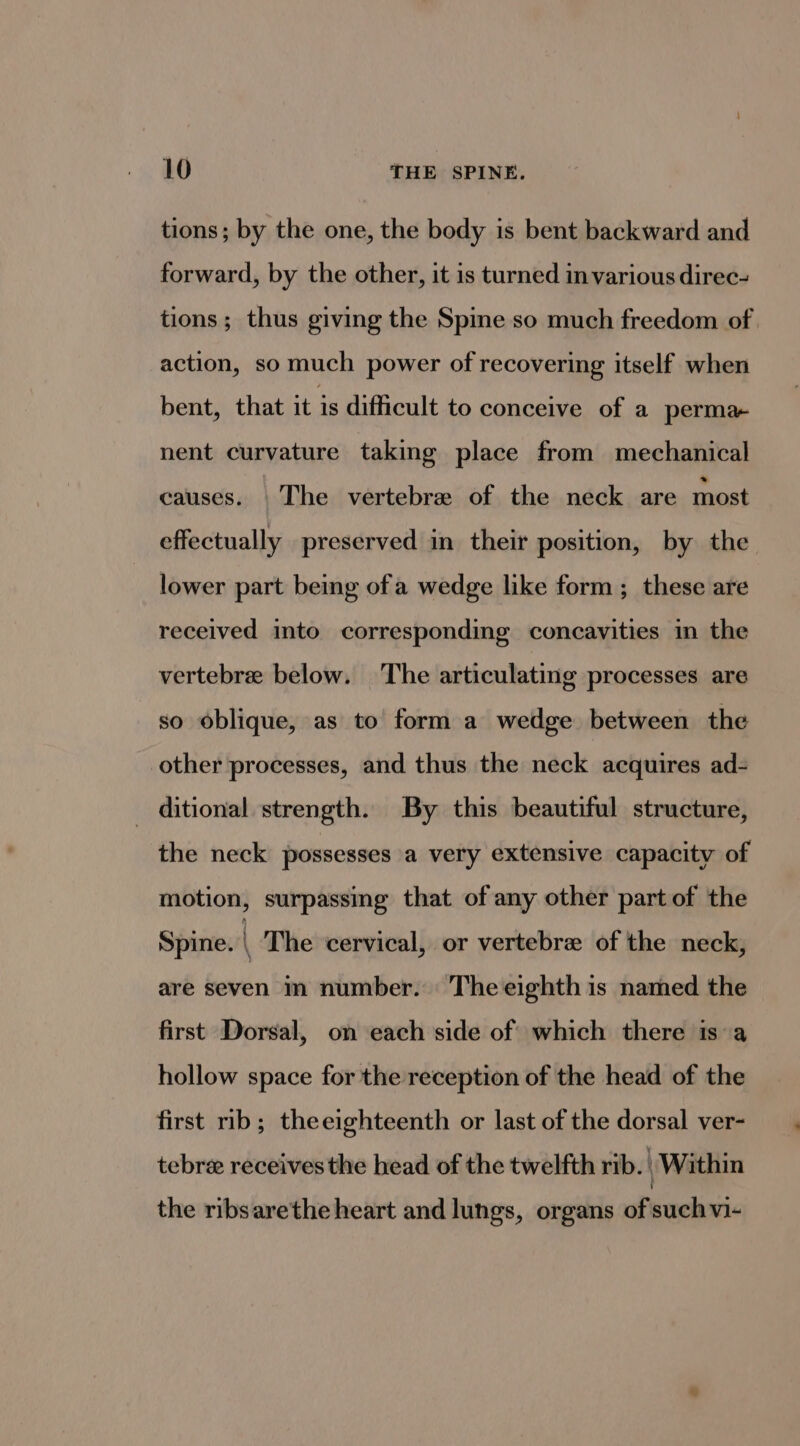 tions; by the one, the body is bent backward and forward, by the other, it is turned invarious direc- tions ; thus giving the Spine so much freedom of action, so much power of recovering itself when bent, that it is difficult to conceive of a perma- nent curvature taking place from mechanical causes. The vertebre of the neck are most effectually preserved in their position, by the lower part being of a wedge like form; these are received into corresponding concavities in the vertebre below. The articulating processes are so oblique, as to’ form a wedge between the other processes, and thus the neck acquires ad- _ ditional strength. By this beautiful structure, the neck possesses a very extensive capacity of motion, surpassing that of any other part of the Spine. The cervical, or vertebre of the neck, are seven m number. The eighth is named the first Dorsal, on each side of which there isa hollow space for the reception of the head of the first rib; theeighteenth or last of the dorsal ver- tebre receives the head of the twelfth rib. Within the ribsarethe heart and lungs, organs of such vi-