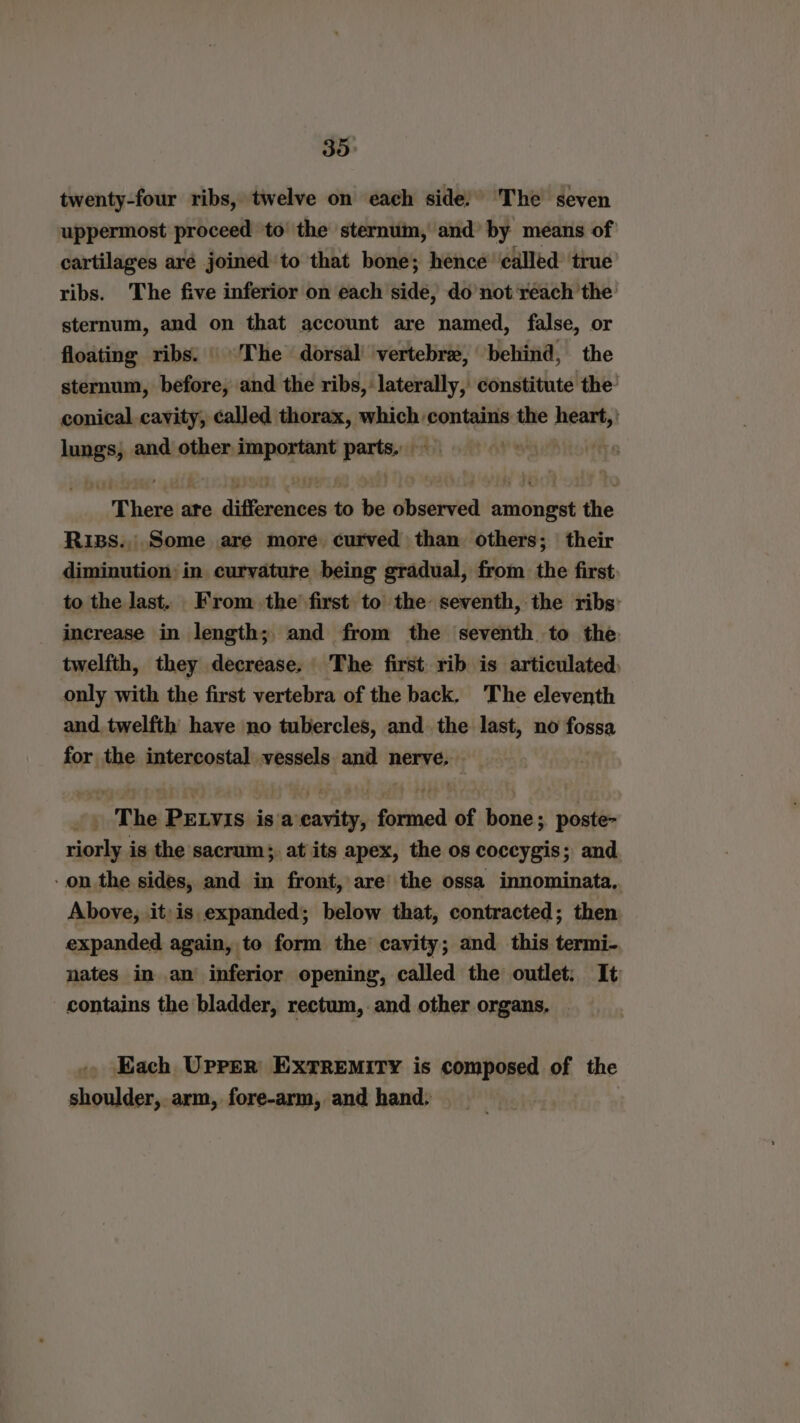 twenty-four ribs, twelve on each side. The seven uppermost proceed to the sternum, and by means of cartilages are joined to that bone; hence called: true’ ribs. The five inferior on each side, do not reach the sternum, and on that account are named, false, or floating ribs. The dorsal’ vertebra, behind, the sternum, before, and the ribs, laterally, constitute the’ conical cavity, called thorax, which contains the heart, ' lungs, and other. ar eisitirg parts. ye TE heaitg ate differences t to be patel nintinint the Riss., Some are more curved than others; their diminution: in. curvature being gradual, from the first: to the last. From the first to the seventh, the ribs: increase in length; and from the seventh to the twelfth, they decrease. The first rib is articulated) only with the first vertebra of the back. The eleventh and twelfth have no tubercles, and. the last, no fossa for the intercostal vessels and nerve. . The PELVIs is a cavity, formed of bone; poste- riorly is the sacrum, at its apex, the os coccygis; and -on the sides, and in front, are’ the ossa innominata, Above, itis expanded; below that, contracted; then expanded again, to form the cavity; and this termi- nates in an inferior opening, called the outlet: It contains the bladder, rectum, and other organs, Each Upper Extremity is composed of the shoulder, arm, fore-arm, and hand.