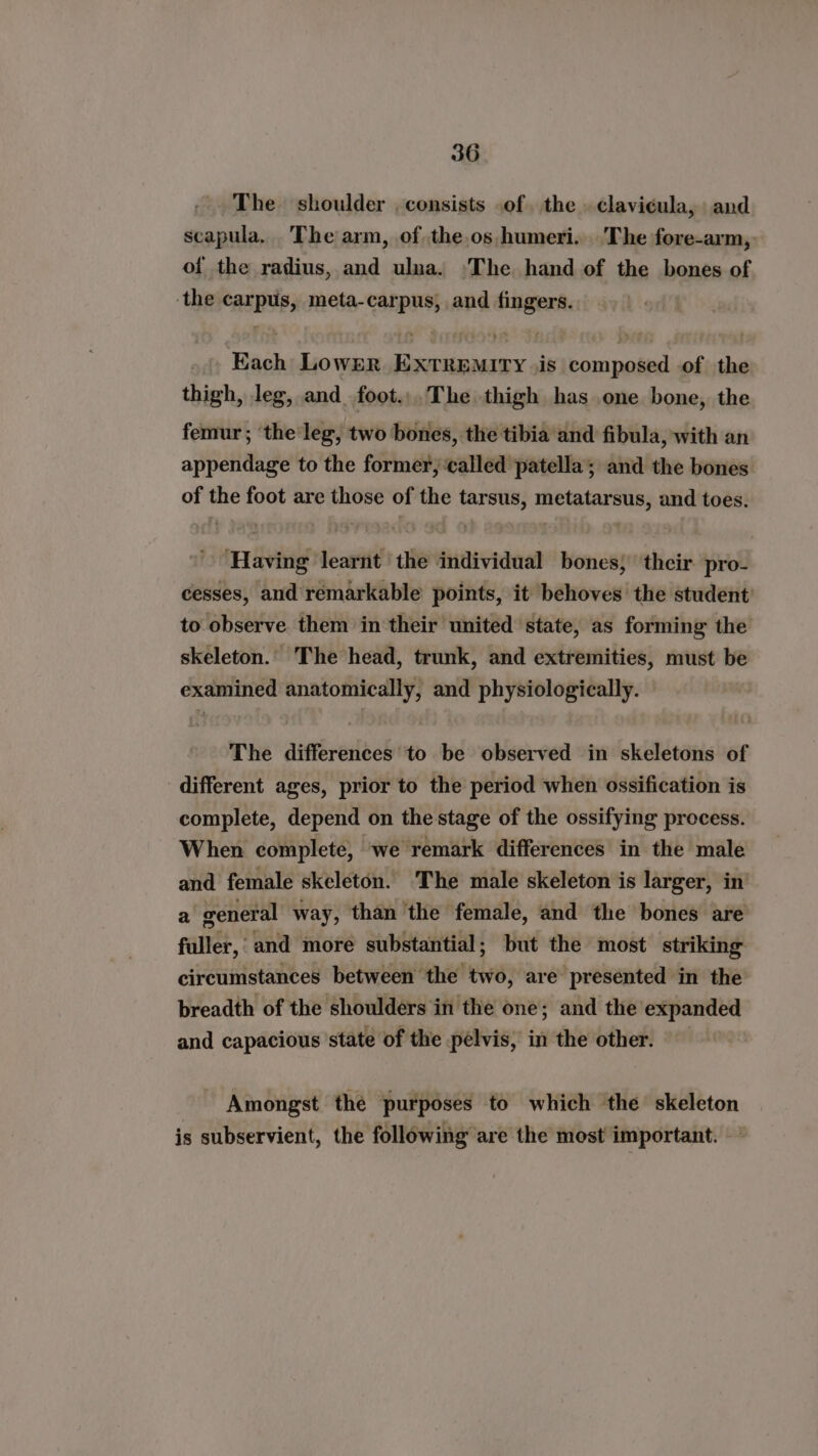 The shoulder , consists .of. the . clavicula, and scapula. The arm, of the,os humeri. The fore-arm, of the radius, and ulua. ‘The hand of the bones of the carpus, meta-carpus, and fingers. Each Lo WER EXTREMITY is composed of the thigh, leg, and_foot...The thigh has one bone, the femur; ‘the leg, two bones, the tibia and fibula, with an appendage to the former, called patella’; and the bones of the foot are those of the tarsus, metatarsus, and toes. ‘Having learnt ‘the individual bones} their pro- cesses, and remarkable points, it behoves the student’ to observe them in their united state, as forming the skeleton. The head, trunk, and extremities, must be examined anatomically, and physiologically. The differences to be observed in skeletons of different ages, prior to the period when ossification is complete, depend on the stage of the ossifying process. When complete, we remark differences in the male and female skeleton. The male skeleton is larger, in’ a general way, than ‘the female, and the bones are fuller, and more substantial; but the most striking circumstances between the two, are presented in the breadth of the shoulders in the one; and the expanded and capacious state of the pelvis, in the other. Amongst the purposes to which the skeleton is subservient, the following are the most important. ©