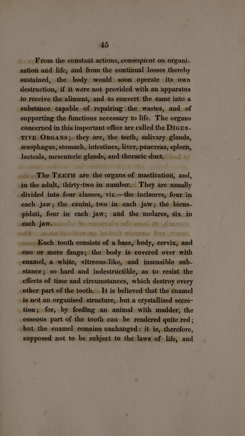 _ From the constant actions, consequent on organi- sation and life, and from the continual losses thereby sustained, the body would. soon operate its) own destruction, if it were not provided with an apparatus to receive the aliment, and. to convert the. same into a substance capable of. repairing .the wastes, and_ of supporting the functions necessary to life. The organs concerned in this important office are called the DigEs- TIVE ORGANS;. they are, the teeth; salivary glands, esophagus, stomach, intestines, liver; pancreas, spleen, lacteals, mesenteric glands, and:thoracie duct.) »»» The TEETH are the organs .of mastication, and, in the adult, thirty-two in number.| They are usually «divided into. four classes, viz.—the incisores, four: in each jaw; the canini, two in each jaw); the. bicus- pidati, four in’ each jaw; and the ‘molares;: six. in udagh ijawesitanst ys: te astogtad » ‘oft aovol oi Sencar weer re wren EE LOE EEY ROE +o» Kach tooth consists of a mittee tt cervix, “ale one or-more fangs; the body is covered over with enamel, a white, vitreous-like, and insensible sub- stance; so hard and indestructible, as to» resist the effects of time and circumstances, which destroy every other part of the tooth. It is believed that the enamel is not an organised structure,, but.a crystallised secre- tien; for, by feeding an animal with madder, the osseous part of the tooth can be rendered quite red; but, the enamel remains unchanged: it is, therefore, supposed not to be subject to the laws of: life, and
