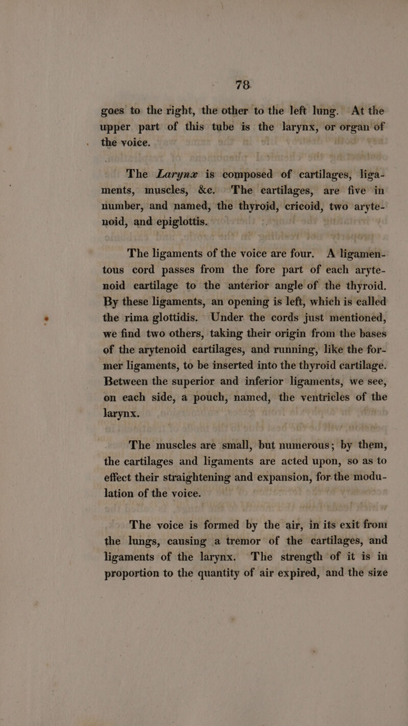 gaes to the right, the other to the left lung. At the upper part of this tube is the larynx, or organ of the voice. | The Larynx is composed of cartilages, liga- ments, muscles, &amp;e. The cartilages, are five in number, and named, the thyroid, cricoid, two aryte- noid, and epiglottis. The ligaments of the voice are four. A ligamen- tous cord passes from the fore part of each aryte- noid cartilage to the anterior angle of the thyroid. By these ligaments, an opening is left, which is called the rima glottidis. Under the cords just mentioned, we find two others, taking their origin from the bases of the arytenoid cartilages, and running, like the for- mer ligaments, to be inserted into the thyroid cartilage. Between the superior and inferior ligaments, we see, on each side, a tah named, the ventricles of the larynx. | The muscles are small, but numerous; by them, the cartilages and ligaments are acted upon, so as to effect their straightening and expansion, for-the modu- lation of the voice. | The voice is formed by the air, in its exit from the lungs, causing a tremor of the cartilages, and ligaments of the larynx. The strength of it is in proportion to the quantity of air expired, and the size