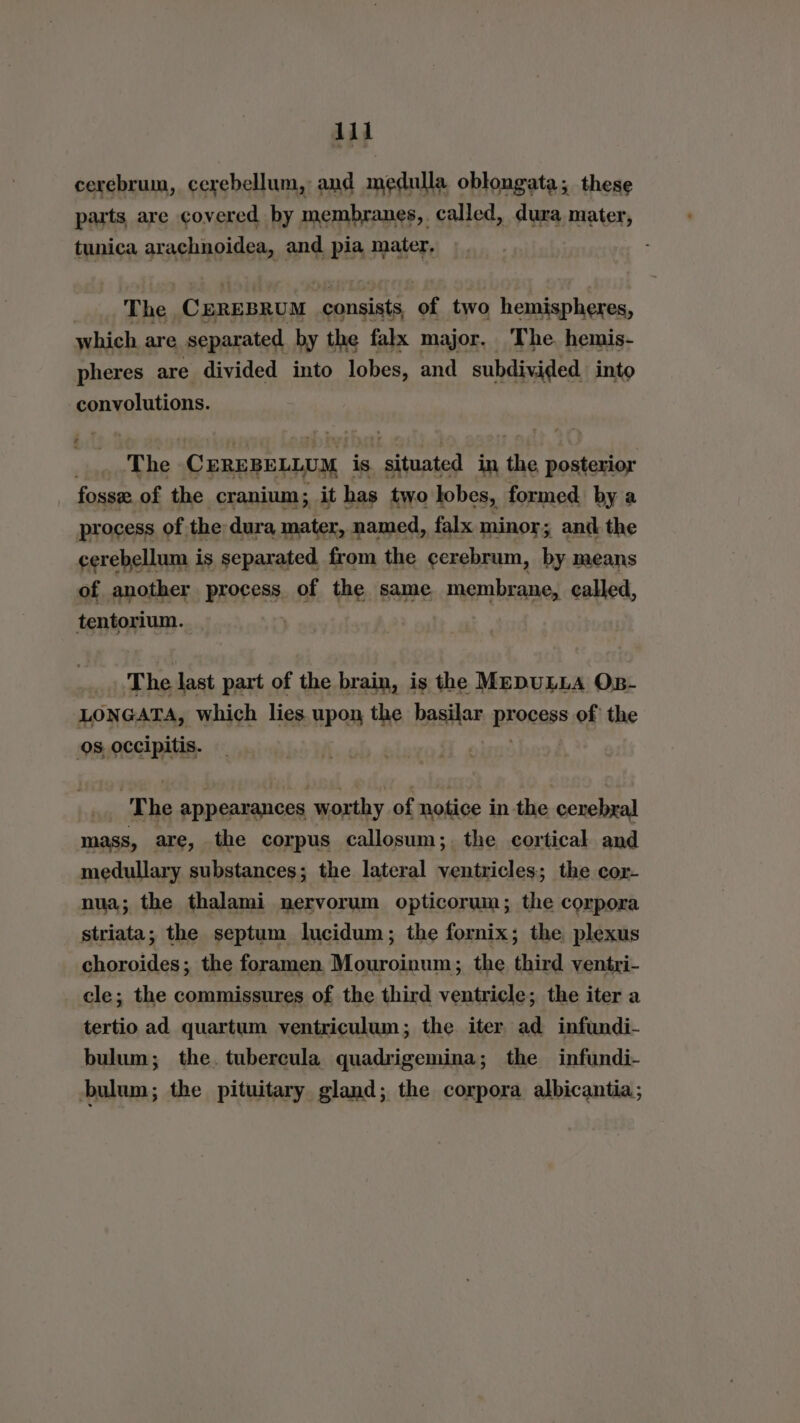 reel cerebrum, cerebellum, and medulla oblongata; these parts are covered by membranes, called, dura mater, tunica daadiaaiin and pia mater, . The. CerEBRUM consists of two hemispheres, which are separated by the falx major, The. hemis- pheres are divided into lobes, and subdivided into convolutions. _, The CEREBELLUM is situated in the posterior _ fosse of the cranium; it has two lobes, formed by a process of the dura, mater, named, falx minor; and the cerebellum is separated from the ¢crebrum, by means of another PROPPES, of the same membrane, called, tentorium. The last part of the brain, is the MEDULLA OB- LONGATA, which lies. upon the hasta process of the os occipitis. The appearances worthy of notice in the cerebral mass, are, the corpus callosum; the cortical and medullary substances; the lateral ventricles; the cor- nua; the thalami nervorum opticorum; the corpora striata; the septum lucidum; the fornix; the plexus choroides ; the foramen Mouroinum ; the third ventri- cle; the commissures of the third ventricle; the iter a tertio ad quartum ventriculum; the iter ad infundi- bulum; the. tubercula quadrigemina; the infundi- bulum; the pituitary gland; the corpora albicantia;