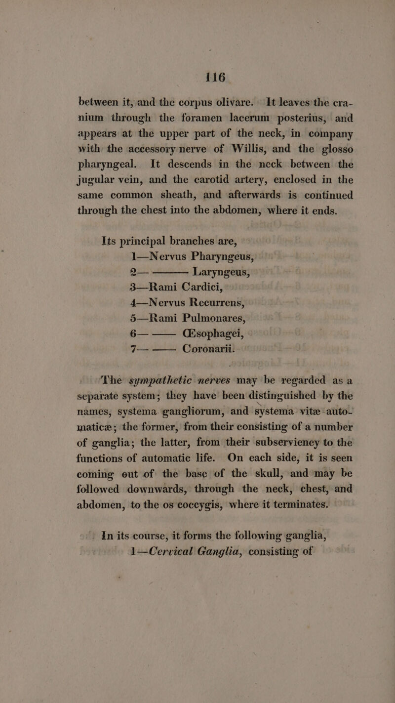 between it, and the corpus olivare. It leaves the cra- nium through the foramen lacerum posterius, and appears at the upper part of the neck, in company with the accessory nerve of Willis, and the glosso pharyngeal. It descends in the neck between the jugular vein, and the carotid artery, enclosed in the same common sheath, and afterwards is continued through the chest into the abdomen, where it ends. Its principal branches are, 1—Nervus Pharyngeus, 2—- Laryngeus, 38—Rami Cardici, 4—Nervus Recurrens, 5—Rami Pulmonares, 6— CE sophagei, 7— — Coronarii:. The sympathetic nerves may be regarded as a separate system; they have been distinguished by the names, systema gangliorum, and systema vite auto- matice; the former, from their consisting of a number of ganglia; the latter, from their subserviency to the functions of automatic life. On each side, it is seen coming eut of the base of the skull, and may be followed dewnwards, through the neck, chest, and abdomen, to the os coccygis, where it terminates. in its course, it forms the following ganglia, 1—Cervical Ganglia, consisting of