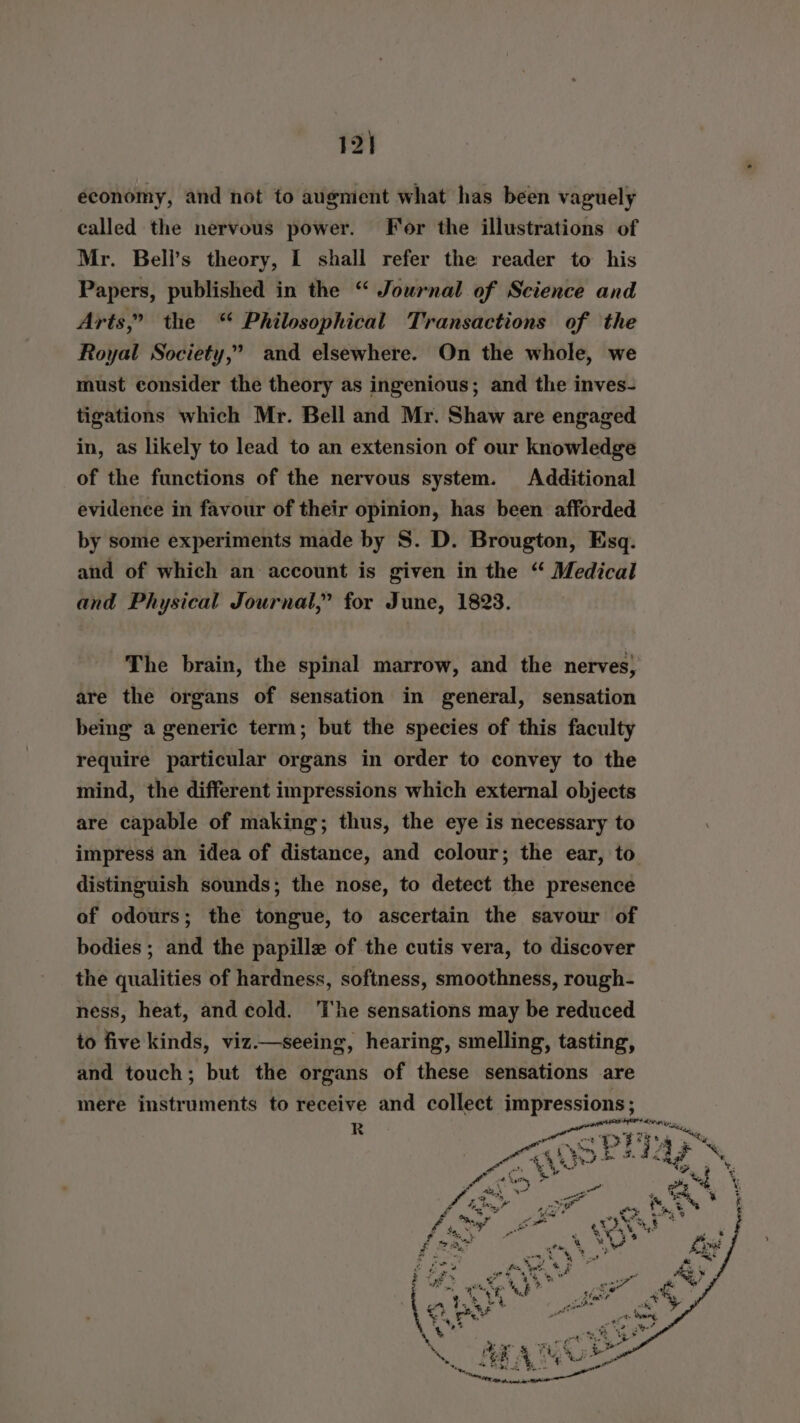 12] economy, and not to augnient what has been vaguely called the nervous power. For the illustrations of Mr. Bell’s theory, 1 shall refer the reader to his Papers, published in the “ Jowrnal of Science and Arts,” the “ Philosophical Transactions of the Royal Society,” and elsewhere. On the whole, we must consider the theory as ingenious; and the inves- tigations which Mr. Bell and Mr. Shaw are engaged in, as likely to lead to an extension of our knowledge of the functions of the nervous system. Additional evidence in favour of their opinion, has been afforded by some experiments made by S. D. Brougton, Esq. and of which an account is given in the “ Medical and Physical Journal,” for June, 1823. ~The brain, the spinal marrow, and the nerves, are the organs of sensation in general, sensation being a generic term; but the species of this faculty require particular organs in order to convey to the mind, the different impressions which external objects are capable of making; thus, the eye is necessary to impress an idea of distance, and colour; the ear, to distinguish sounds; the nose, to detect the presence of odours; the tongue, to ascertain the savour of bodies ; and the papille of the cutis vera, to discover the qualities of hardness, softness, smoothness, rough- ness, heat, and cold. The sensations may be reduced to five kinds, viz.—seeing, hearing, smelling, tasting, and touch; but the organs of these sensations are mere instruments to receive and collect impressions ; R at ela Wis,