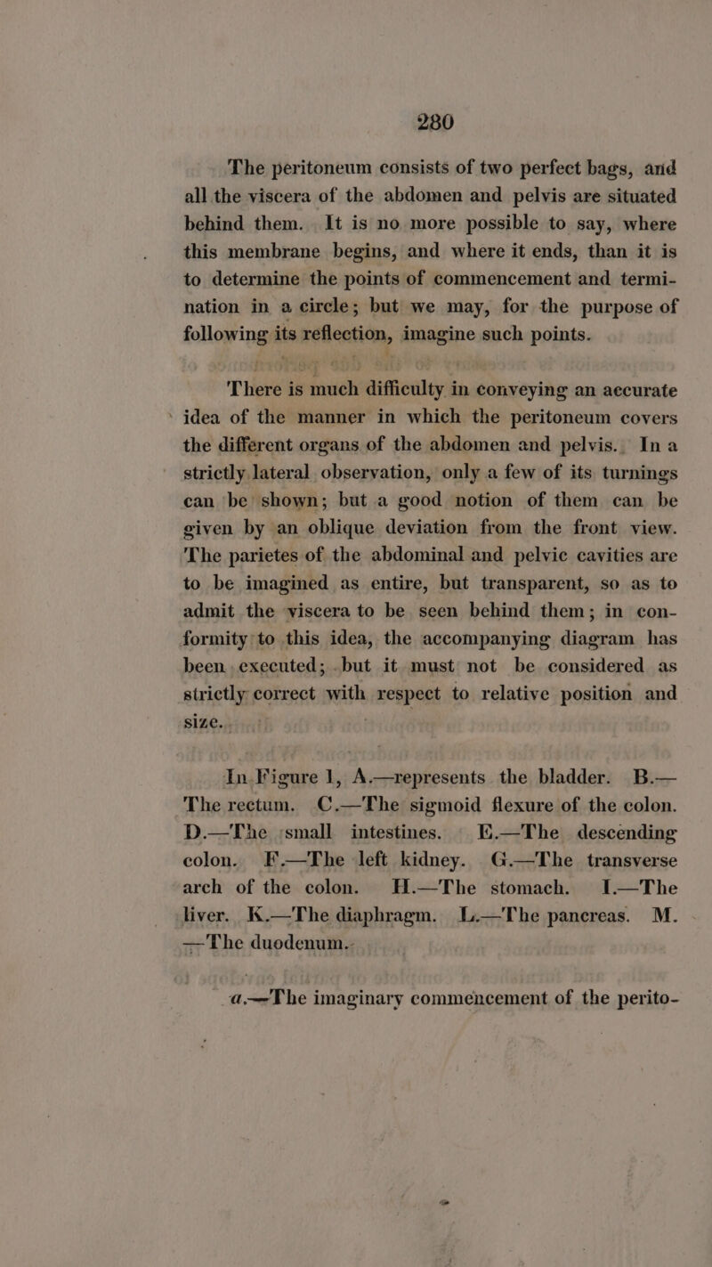 The peritoneum consists of two perfect bags, and all the viscera of the abdomen and pelvis are situated behind them. It is no more possible to say, where this membrane begins, and where it ends, than it is to determine the points of commencement and termi- nation in a circle; but we may, for the purpose of following its reflection, imagine such points. There is much difficulty in conveying an accurate ’ idea of the manner in which the peritoneum covers the different organs of the abdomen and pelvis.. Ina strictly lateral observation, only a few of its turnings can be shown; but a good notion of them can be given by an oblique deviation from the front view. The parietes of the abdominal and pelvic cavities are to be imagined as entire, but transparent, so as to admit the viscera to be seen behind them; in con- formity'to this idea, the accompanying diagram has been. executed; .but it must not be considered as strictly correct with respect to relative position and size.. In. Figure 1, A.—represents the bladder. B.— The rectum. C.—The sigmoid flexure of the colon. D.—The ;small intestines. E.—The descending colon. F.—The left kidney. G.—The transverse arch of the colon. H.—The stomach. I.—The liver. K.—The diaphragm. .—The pancreas. M. — The duodenum.- _a—The imaginary commencement of the perito- ~~
