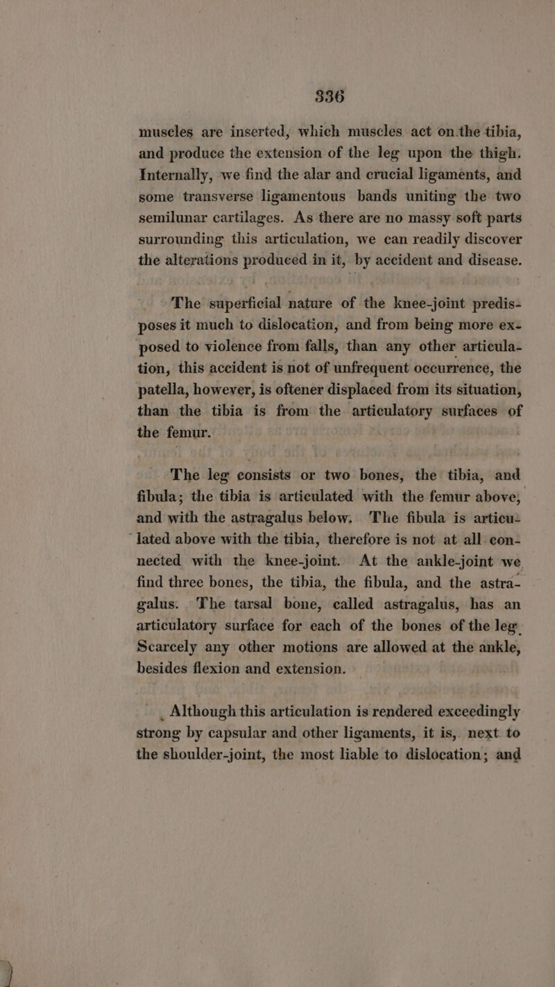 muscles are inserted, which muscles act on.the tibia, and produce the extension of the leg upon the thigh. Internally, we find the alar and crucial ligaments, and some transverse ligamentous bands uniting the two semilunar cartilages. As there are no massy soft parts surrounding this articulation, we can readily discover the alterations produced in it, by accident and disease. The superficial nature of the knee-joint predis- poses it much to dislocation, and from being more ex- posed to violence from falls, than any other articula- tion, this accident is not of unfrequent occurrence, the patella, however, is oftener displaced from its situation, than the tibia is from the. articulatory surfaces of the femur. The leg consists or two bones, the tibia, and fibula; the tibia is articulated with the femur above, and with the astragalus below. The fibula is articu- “lated above with the tibia, therefore is not at all-con- nected with the knee-joint. At the ankle-joint we find three bones, the tibia, the fibula, and the astra- galus. The tarsal bone, called astragalus, has an articulatory surface for each of the bones of the leg Scarcely any other motions are allowed at the ankle, besides flexion and extension. _ Although this articulation is rendered exceedingly strong by capsular and other ligaments, it is, next. to the shoulder-joint, the most liable to dislocation; and