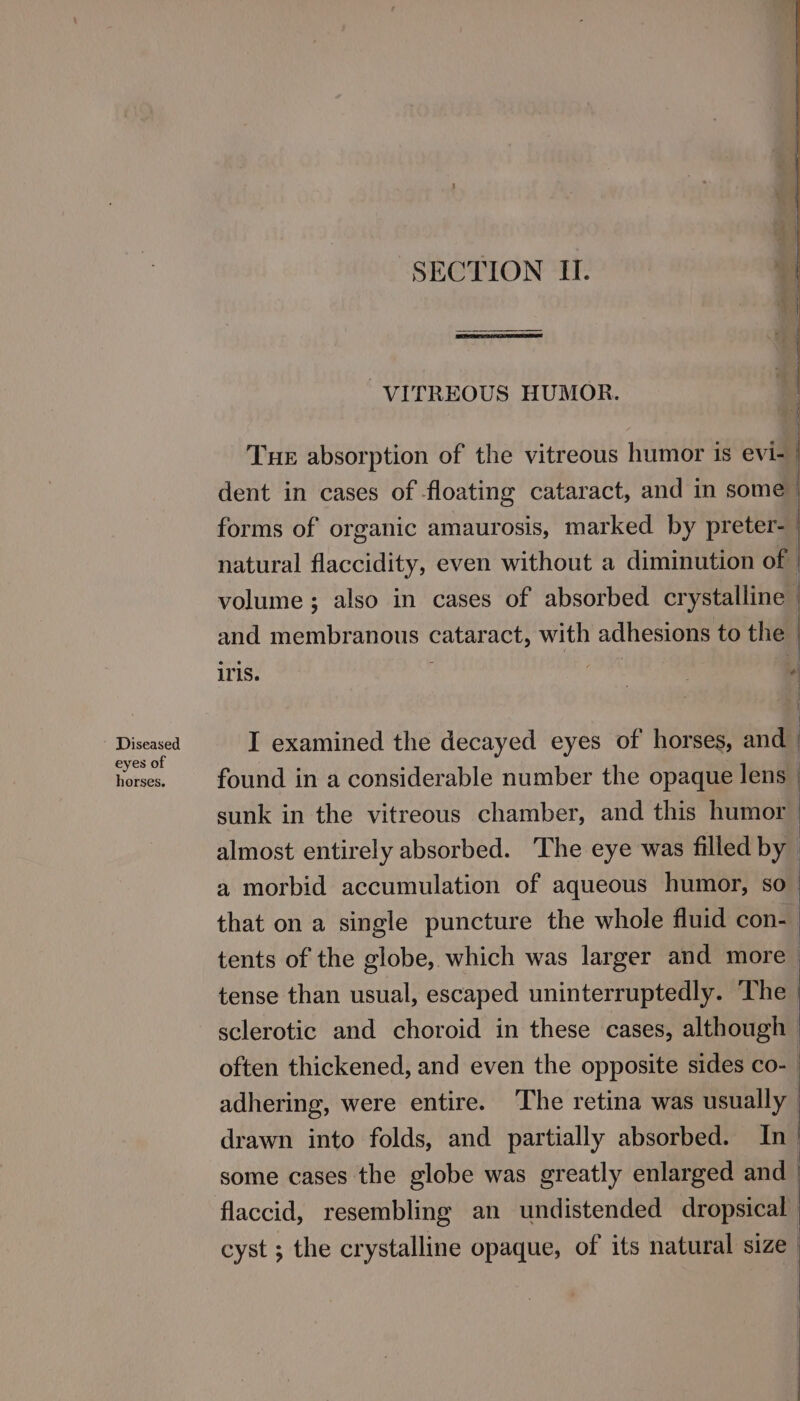 Diseased eyes of horses. SECTION II. VITREOUS HUMOR. Tue absorption of the vitreous humor is evi- | dent in cases of floating cataract, and in some | forms of organic amaurosis, marked by preter- | natural flaccidity, even without a diminution of volume ; also in cases of absorbed crystalline | and membranous cataract, with adhesions to the | iris. | : . I examined the decayed eyes of horses, and. found in a considerable number the opaque lens sunk in the vitreous chamber, and this humor | almost entirely absorbed. The eye was filled by — a morbid accumulation of aqueous humor, so_ that on a single puncture the whole fluid con- tents of the globe, which was larger and more tense than usual, escaped uninterruptedly. The sclerotic and choroid in these cases, although often thickened, and even the opposite sides co- n adhering, were entire. The retina was atl drawn into folds, and partially absorbed. some cases the globe was greatly enlarged ~ flaccid, resembling an undistended dropsical cyst ; the crystalline opaque, of its natural size