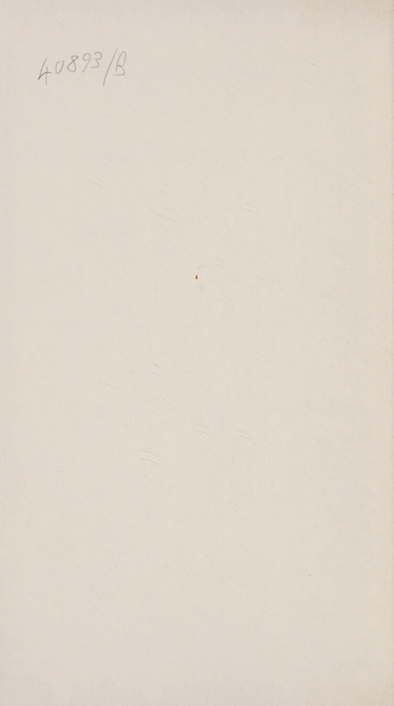 ot Fae we Tle ; Me i ee ee To Per - Var2 4 ob > = ia | oe