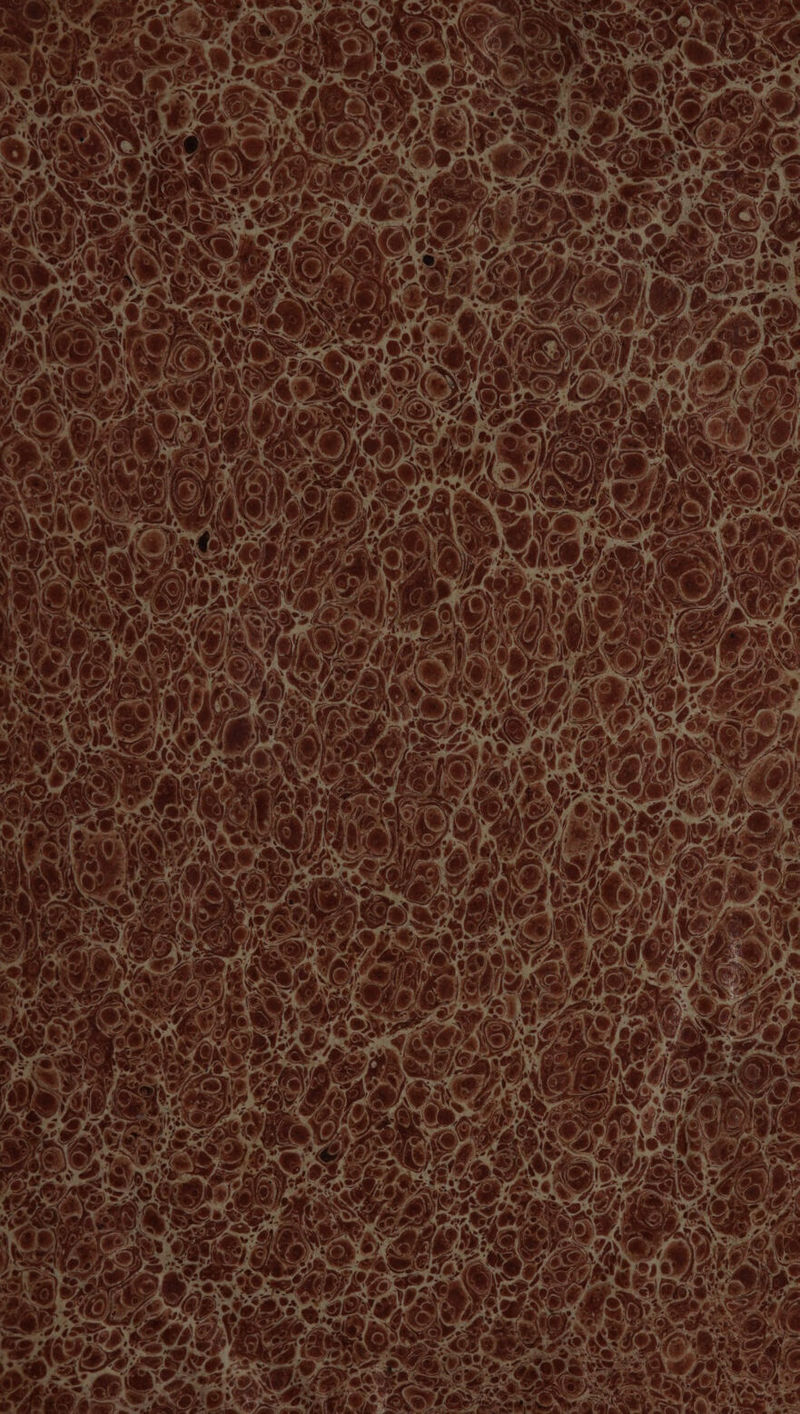 © c 24 7 6e, » * \ | w a: 7 $ F | à k D: ae le 77 CAL cp, ; = de ®.: (DS CN @) 2 dl ETS l