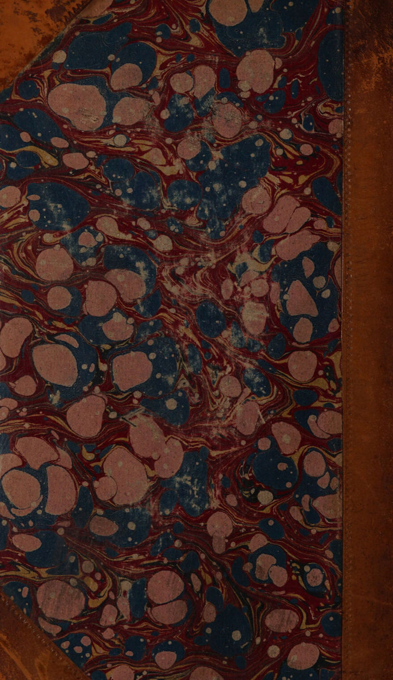 AÉPC ZA “HET PAPE Hal D £ FRA So tes 2 V7 * LE + eu 5 AB AIN US Apt A DANONE NS AA 7e vs