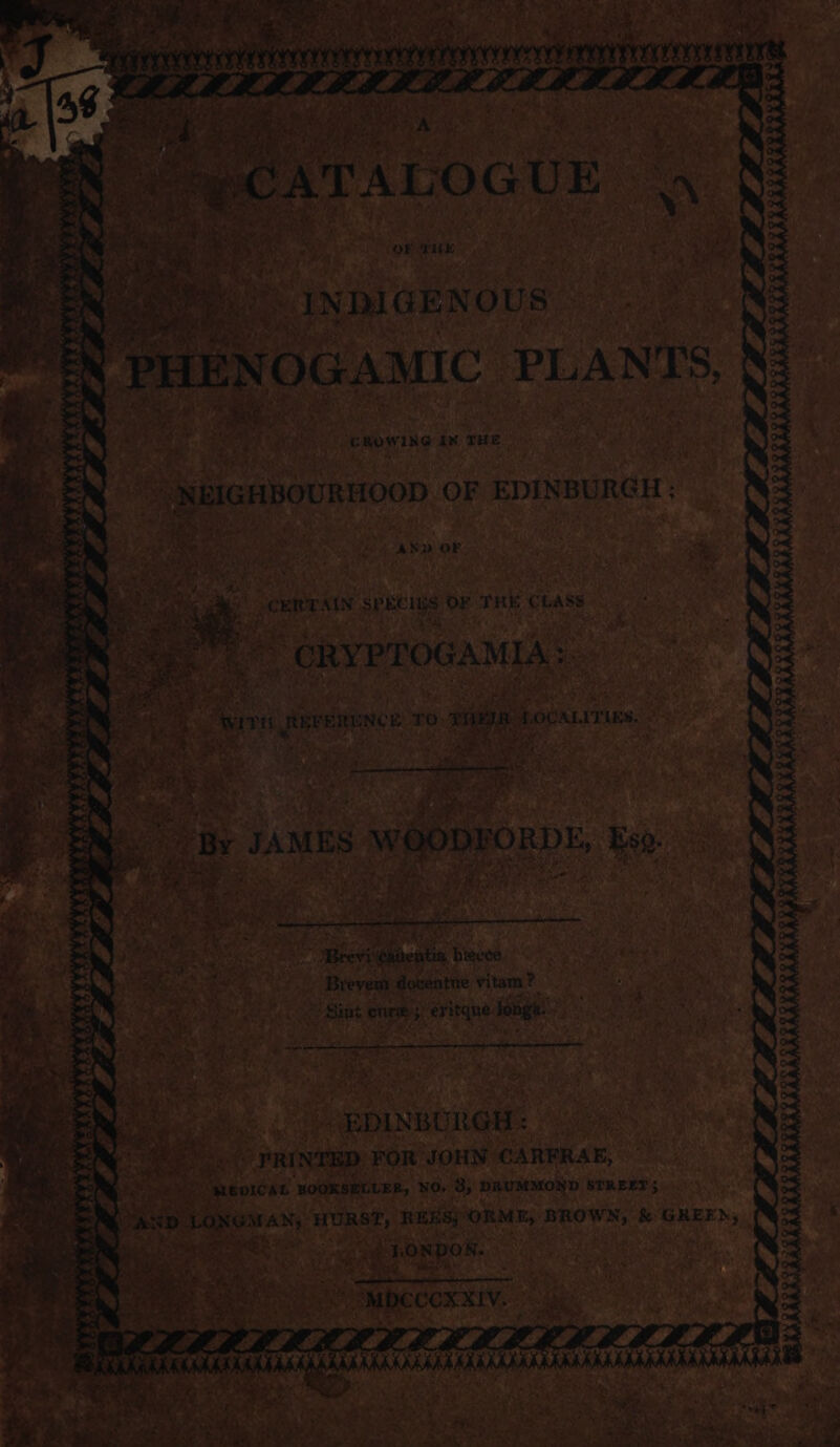 aw % PATI TP LN SATALOGUE i ‘ vale ) OF ME Baye. Ro NDIGENOUS ewow ING ix THE | NBIGABOURHOOD OF EDINBURGH ; AND OF ae CERTAIN spkcius OF THE CLASS GRYPTOGAMIA: cee ae Ae ADR alee ene Fase dlcaten Wosed py » Breve doventne vitam ? Sint cn } eritque fonge: “EDINBURGH: “PRINTED FOR JOHN CARFRAE, neice ‘NOOKSECLER, NO, are DRUMMOND STREET 5 yy f jc Me Sa ee “MDCCCXXIV. Ki KARE AAA ARRAKAAMS KAAAAAS ARARAMA winnie po ae a: Dea ee Se ee ee ee -