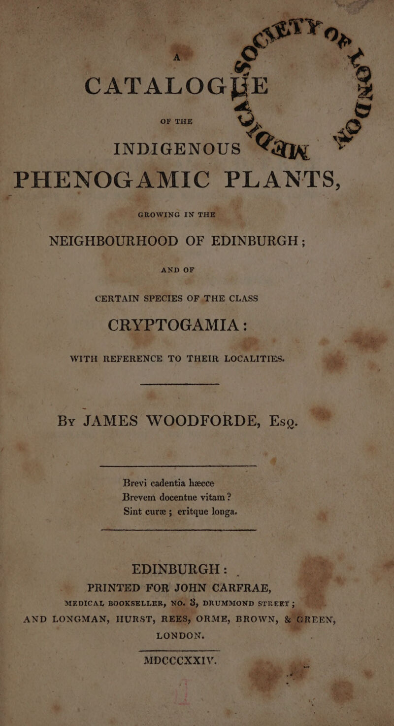 OF THE INDIGENOUS “ea, £ _PHENOGAMIC EN GROWING IN THE NEIGHBOURHOOD OF EDINBURGH ; AND OF CERTAIN SPECIES OF THE CLASS CRYPTOGAMIA: es i WITH REFERENCE TO THEIR LOCALITIES. ~~ By JAMES WOODFORDE, Eso. Brevi cadentia hecce Brevem docentne vitam ? Sint cure ; eritque longa. EDINBURGH : PRINTED FOR JOHN CARFRAE, MEDICAL BOOKSELLER, NO. 3, DRUMMOND STREET; . AND LONGMAN, HURST, REES, ORME, BROWN, &amp; GREEN, LONDON. MDCCCXXIV. 7 ue