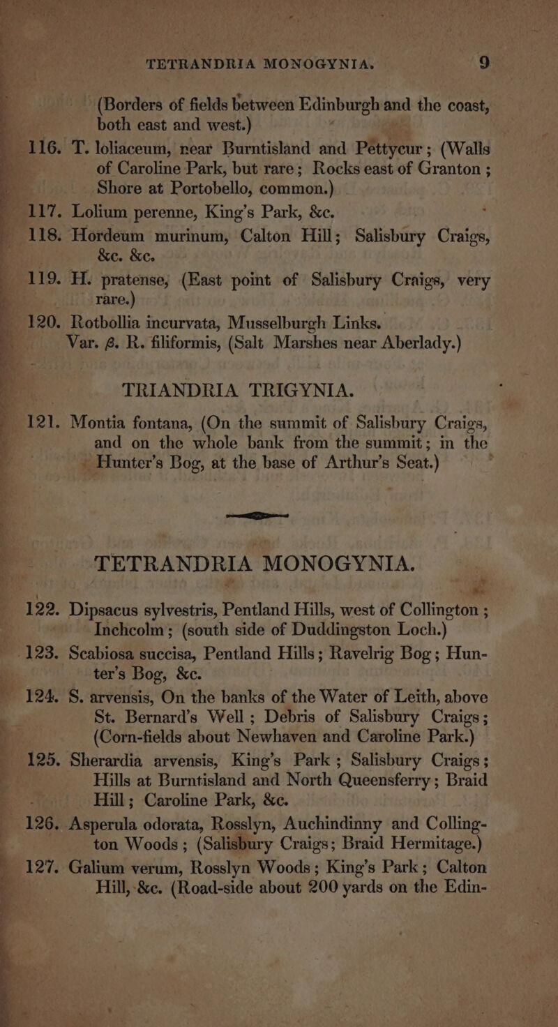 (Borders of fields between Edinburgh and the coast, both east and west.) of Caroline Park, but rare; Rocks east of Granton ; Shore at Portobello, common.) 117. Lolium perenne, King’s Park, &amp;c. | &amp;e. &amp;e. 119. H. pratense; (East point of Salisbury Craigs, very rare.) 120. Rotbollia incurvata, Musselburgh Links, Var. &amp;. R. filiformis, (Salt Marshes near Aberlady.) TRIANDRIA TRIGYNIA. and on the whole bank from the summit; in the - Hunter's Bog, at the base of Arthur’s Seat.) : TETRANDRIA MONOGYNIA. ‘“ 122. Dipsacus sylvestris, Pentland Hills, west of Collington ; Inchcolm; (south side of Duddingston Loch.) ter’s Bog, &amp;c. 124. S. arvensis, On the banks of the Water of Leith, above St. Bernard’s Well ; Debris of Salisbury Craigs ; (Corn-fields about Newhaven and Caroline Park.) 125. Sherardia arvensis, King’s Park; Salisbury Craigs ; Hills at Burntisland and North Queensferry ; Braid Hill; Caroline Park, &amp;c. 126. Asperula odorata, Rosslyn, Auchindinny and Colling- ton Woods ; (Salisbury Craigs; Braid Hermitage.) 127. Galium verum, Rosslyn Woods; King’s Park ; Calton Hill, &amp;e. (Road-side about 200 yards on the Edin-