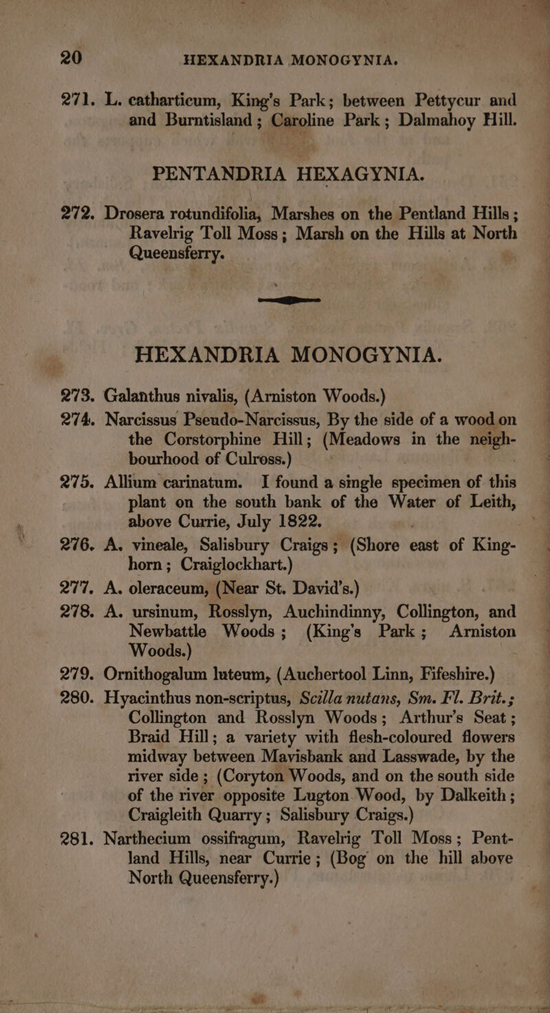 271. L. catharticum, King’s Park; between Pettycur and and Burntisland ; Caroline Park; Dalmahoy Hill. PENTANDRIA HEXAGYNIA. 272. Drosera rotundifolia, Marshes on the Pentland Hills ; Ravelrig Toll Moss; Marsh on the Hills at North Queensferry. — HEXANDRIA MONOGYNIA. 273. Galanthus nivalis, (Arniston Woods.) 274. Narcissus Pseudo-Narcissus, By the side of a wood on the Corstorphine Hill; ama in the neigh- bourhood of Culress.) 275. Allium carinatum. I found a single specimen of this plant on the south bank of the Water of Leith, above Currie, July 1822. 276. A. vineale, Salisbury Craigs ; (Shore ' east of King- horn; Craiglockhart.) 277. A. oleraceum, (Near St. David’s.) 278. A. ursinum, Rosslyn, Auchindinny, Collington, and Newbattle Woods; (King’s Park; Arniston Woods.) 279. Ornithogalum luteum, (Auchertool Linn, Fifeshire.) 280. Hyacinthus non-scriptus, Scilla nutans, Sm. Fl. Brit. ; Collington and Rosslyn Woods; Arthur's Seat ; Braid Hill; a variety with flesh-coloured flowers midway between Mavisbank and Lasswade, by the river side ; (Coryton Woods, and on the south side of the river opposite Lugton Wood, by Dalkeith ; Craigleith Quarry ; Salisbury Craigs. ) 281. Narthecium ossifragum, Ravelrig Toll Moss; Pent- Jand Hills, near Currie ; (Bog on the hill above North Queensferry.)