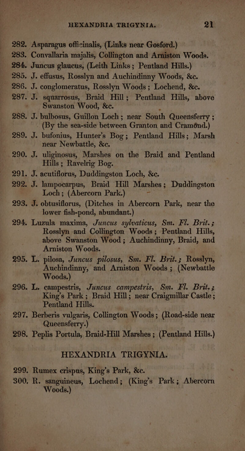 Asparagus officinalis, (Links near Gosford.) — Convallaria majalis, Collington and Arniston Woods. Juncus glaucus, (Leith Links; Pentland Hills.) J. effusus, Rosslyn and Auchindinny Woods, &amp;c. J. conglomeratus, Rosslyn Woods ; Lochend, &amp;c. J. squarrosus, Braid Hill; Pentland Hills, above Swanston Wood, &amp;c. J. bulbosus, Guillon Loch ; near South Queensferry ; _ (By the sea-side between Granton and Cramé6nd.) J. bufonius, Hunter's Bog; Pentland Hills; Marsh near Newbattle, &amp;c. J. uliginosus, Marshes on the Braid and Pentland Hills ; Ravelrig Bog. J. acutiflorus, Duddingston Loch, &amp;c. J. lampocarpus, Braid Hill Marshes; Duddingston Loch; (Abercorn Park.) = &gt; J. obtusiflorus, (Ditches in Abercorn Park, near the lower fish-pond, abundant.) Luzula maxima, Juncus sylvaticus, Sm. Fl. Brit. ; Rosslyn and Collington Woods; Pentland Hille above Swanston Wood; Auchindinny, gs and Arniston Woods. L. pilosa, Juncus pilosus, Sm. Fl. Brit. ; Raed Auchindinny, and Arniston Woods ; (Newbattle ~ Woods.) L. campestris, Juncus campestris, Sm. Fl. Brit. s King’s Park; Braid Hill; near Craigmillar Castle ; Pentland Hills. | Berberis vulgaris, Collington Woods; (Road-side near Queensferry.) Penh Portula, Braid-Hill Marshes ; (Pentland Hills.) HEXANDRIA TRIGYNIA. Rumex crispus, King’s Park, &amp;c. R. sanguineus, Lochend; (King’s Park; Abercorn Woods.)