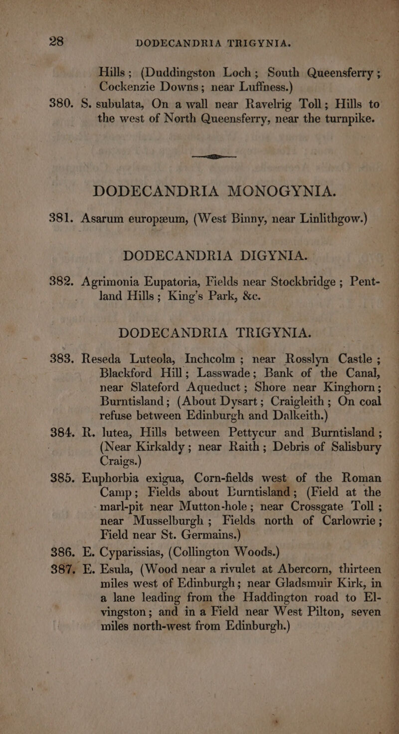 Hills; (Duddingston Loch; South Queensferry ; Cockenzie Downs; near Liuffnesé:) 380. S. : bible, On a wall near Ravelrig Toll; Hills to the west of North Queensferry, near the turnpike. DODECANDRIA MONOGYNIA. 381. Asarum europzeum, (West Binny, near Linlithgow.) DODECANDRIA DIGYNIA. 382. Agrimonia Eupatoria, Fields near Stockbridge ; Pent- land Hills; King’s Park, &amp;c. DODECANDRIA TRIGYNIA. 383. Reseda Luteola, Inchcolm ; near Rosslyn Castle ; Blackford Hill; Lasswade; Bank of the Canal near Slateford ‘Aqueduct ; Shore near Kinghorn ; Burntisland ; (About Dysart; Craigleith ; On coal refuse between Edinburgh and Dalkeith.) 384. R. lutea, Hills between Pettycur and Burntisland ; (Near Kirkaldy ; near Raith; Debris of Salisbury Craigs.) 385. Euphorbia exigua, Corn-fields west of the Roman Camp; Fields about Eurntisland; (Field at the marl-pit near Mutton-hole ; near Crossgate Toll ; near Musselburgh ; Fields north of Carlowrie ; Field near St. Germains.) 386. E. Cyparissias, (Collington Woods.) 387. E. Esula, (Wood near a rivulet at Abercorn, thirteen miles west of Edinburgh; near Gladsmuir Kirk, in vingston; and in a Field near West Pilton, seven miles north-west from Edinburgh.) a a ee eee , - a rn kt