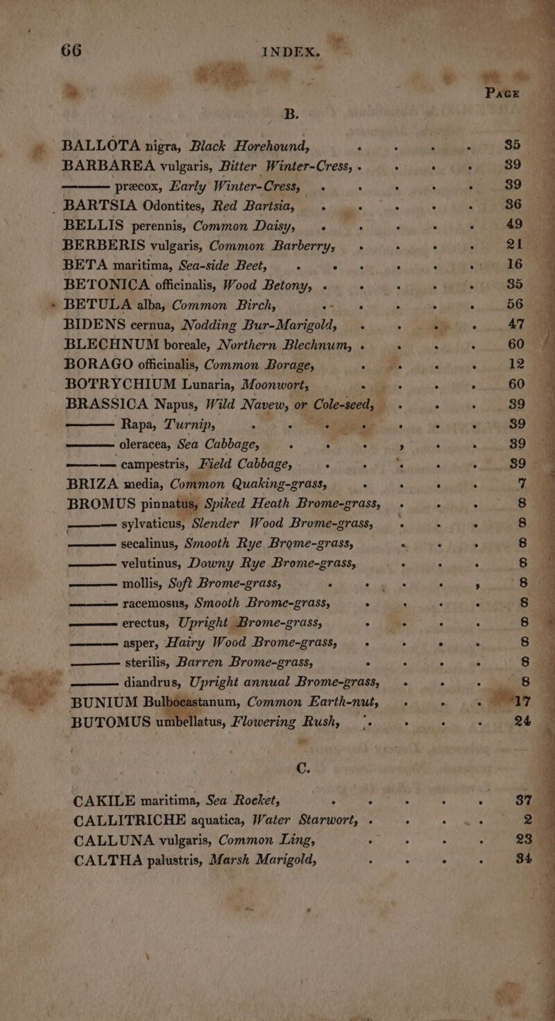 CUR ee PONS Ag, ee vo Riau . ee rn , att 66 | INDEX. * i iF ite by . © ate tte 7 - © . Pace B. # BALLOTA nigra, Black Horehound, ‘ : : ° 35 BARBAREA vulgaris, Bitter Winter-Cress, A . . 39 os precox, Early Winter-Cress, . . : : : 39 _ BARTSIA Odontites, Red Bartsia, . .. +» + + 36 BELLIS perennis, Common Daisy, ° . ane BERBERIS vulgaris, Common Barberry, q ; ; 21°39 BETA maritima, Sea-side Beet, js Bae . : sees BETONICA officinalis, Wood Betony, - + + +. + 85 BETULA alba, Common Birch, ay tien! eth Stile. a BIDENS cernua, Nodding Bur-Marigold, . ee aw 47.9 BLECHNUM boreale, Northern Blechnum,. . +. + 60 * BORAGO officinalis, Common Borage, -. aa 4 : 12 BOTRYCHIUM Lunaria, Moonwort, oe . . 60 BRASSICA Napus, Wild Navew, or Cole-seed, i : . ° 39 Rapa, Turnip, . - ae oe . . 39 oleracea, Sea Cabbage, . : : ’ : ° 39 eee campestris, | Field Cabbage, 5 A . : 89 BRIZA media, Common Quaking-grass, . . ‘ 4 %, A BROMUS pinnatuis, Spiked Heath Brome-grass, : ° . 8% sylvaticus, Slender Wood Brume-grass, . . . 8.8 ——— secalinus, Smooth Rye Brome-grass, . i i 8 velutinus, Downy Rye Brome-grass, . . 8 mollis, Soft Brome-grass, ° £ ie us < ; 8) racemosus, Smooth Brome-grass, ‘ . ye 1S ae —— erectus, Upright Brome-grass, : i ‘ 4 8% asper, Hairy Wood Brome-grass, . . . : Sa sterilis, Barren Brome-grass, . c A A 8 ‘ a diandrus, Upright annual Brome-grass,_ « . + eleees BUNIUM Bulbocastanum, Common Earth-nut, . on * ay BUTOMUS umbellatus, Flowering Rush, ‘. +» «© « 24 C. CAKILE maritima, Sea Rocket, —. 1 the t . sam CALLITRICHE aquatica, Water Starwort, . A - oe 5 CALLUNA vulgaris, Common Ling, . : : : 23 CALTHA palustris, Marsh Marigold, ; : j 84