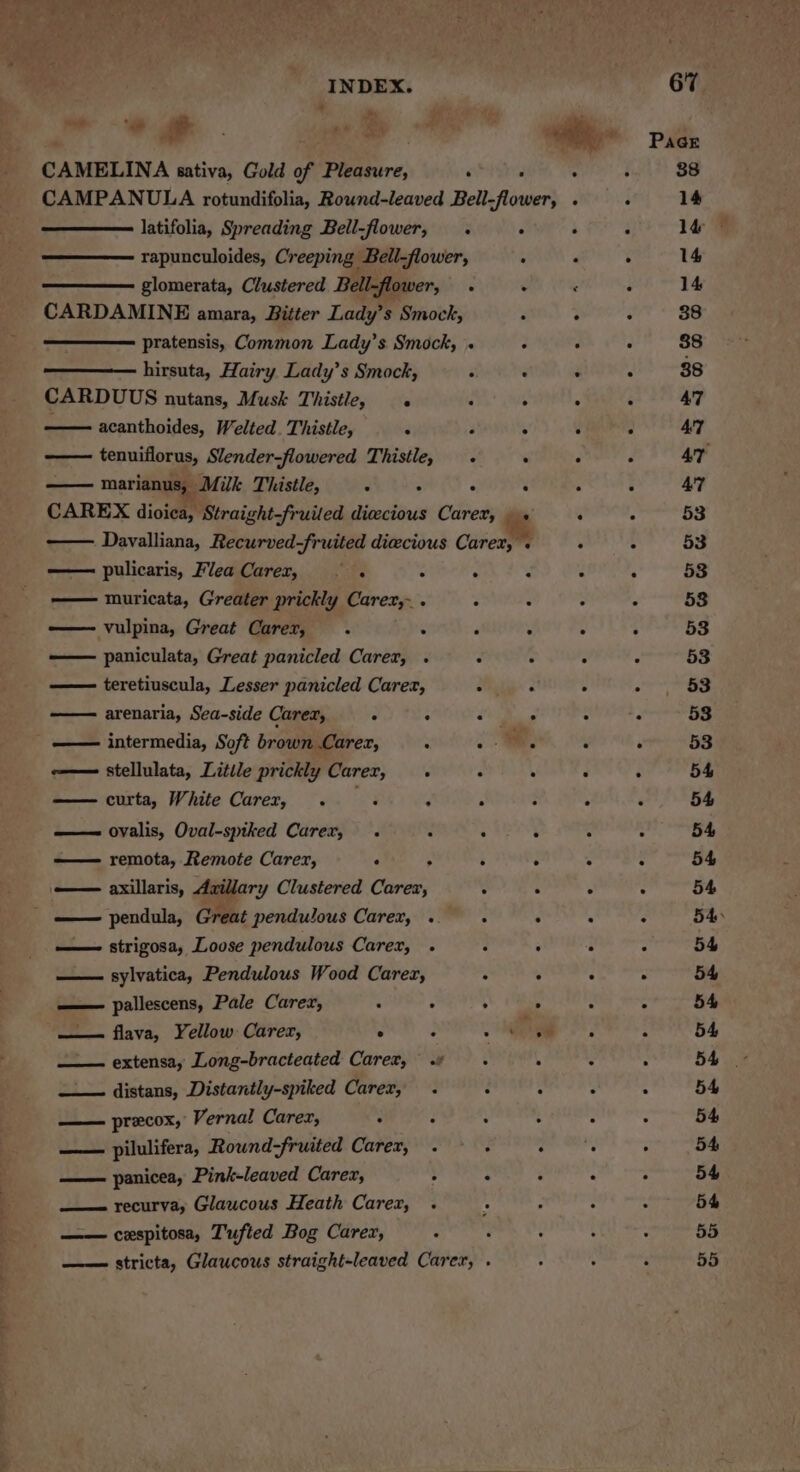 CAMELINA sativa, Gold of Pleasure, ‘ ; CAMPANULA rotundifolia, Round-leaved Bellflower, latifolia, Spreading Bell-flower, . ° rapunculoides, Creeping. Bell-flower, . glomerata, Clustered Bell-flower, . ‘ CARDAMINE amara, Bitter Lady’s Smock, pratensis, Common Lady’s Smock, « : hirsuta, Hairy Lady’s Smock, . CARDUUS nutans, Musk Thistle, . . ; acanthoides, Welted. Thistle, 3 tenuiflorus, Slender-flowered Thistle, . —— marianus, Milk Thistle, , ‘ é : CAREX dioica, Straight-fruiled diccious Carer, . + Davalliana, Recurved-fruited diecious Carex, « pulicaris, Flea Carex, ake . . ‘ muricata, Greater prickly Carex,~ . vulpina, Great Carex, é P : paniculata, Great panicled Carer, . . —— teretiuscula, Lesser panicled Carez, arenaria, Sea-side Carex, j : _ —— intermedia, Soft brown Carer, : eo—— stellulata, Litile prickly Carer, . curta, White Carer, . —— ovalis, Oval-sptked Carer, .« —— remota, Remote Carer, ‘ 4 é ° — axillaris, Axillary Clustered Carex, . pendula, Great pendulous Carex, . —— strigosa, Louse pendulous Carer, . : 5 sylvatica, Pendulous Wood Carez, : : —— pallescens, Pale Carex, ‘ 3 : 8 flava, Yellow Carez, ° é . 4 3a extensa, Long-bracteated Carer, .« . —— distans, Distantly-spiked Carer, . ; —— precox, Vernal Carex, 4 : ; —— pilulifera, Round-fruited Carer, . a‘ —— panicea, Pink-leaved Carex, : —— recurva, Glawcous Heath Carex, —— cespitosa, Tufted Bog Carez, ‘ —— stricta, Glaucous straight-leaved Carex, . 88 14 14 14 14 38 88 38 47 AT AT 47 53 53 58 58 53 53 53 53 53 54 54 54 54 54 54: 54 54 54 54 54 54 54 54 54 55 55