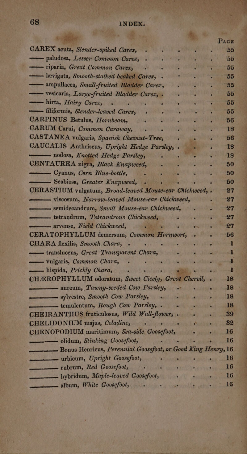 . Rete oi % Pac CAREX acuta, Slender-spiked Carex, . : . ‘ : 55 paludosa, Lesser Common Carez, . . : . : 55 —— riparia, Great Common Carer, . : ; : - 55 - —— levigata, Smooth-stalked beaked Carex, . een 3 55 —— ampullacea, Small-fruited Bladder Carer, «. +» ~ 55 vesicaria, Large-fruited Bladder Carex, . . x : 55 —— hirta, Hairy Carex, . ° ° . : : . 55 —— filiformis, Slender-leaved Carer, . . . x . 55 CARPINUS Betulus, Hornbeam, A 4 ‘ - F 56 CARUM Carui, Common Caraway, . ° ‘ : : 18 CASTANEA vulgaris, Spanish Chesnut-Tree, . . ° 56 CAUCALIS Anthriscus, Upright Hedge Parsley,. . . 1s nodosa, Knotted Hedge Parsley, ‘ . ° : 18 CENTAUREA nigra, Black Knapweed, . »- « « 50 Cyanus, Corn Blue-bottle, ° . ° 5 , 50 Scabiosa, Greater Knapweed, .» . . ° : 50 CERASTIUM vulgatum, Broad-leaved Mouse-ear Chickweed, « 27 viscosum, Narrow-leaved Mouse-ear Chickweed, : 27 semidecandrum, Small Mouse-ear Chickweed, . 27 tetrandrum, Jetrandrous Chickweed, : ‘ é 27 arvense, Field Chickweed, 3 : F woe (ge gap CERATOPHYLLUM demersum, Common Hornwort, .° . ~-86 CHARA flexilis, Smooth Chara, . ¢ ; x - y 1 translucens, Great Transparent Chara, ‘ . re 1 vulgaris, Common Chara, . . . . : oo goth —— hispida, Prickly Chara, : . : <> > a0 1 CHA ROPHYLLUM odoratum, Sweet Cicely, Great Chervil, . 18 aureum, Tawny-seeded Cow Parsley, -.- . ° 18 sylvestre, Smooth Cow Parsley, « . . » 18 ———— temulentum, Rough Cow Parsley, . ie ' A 18 CHEIRANTHUS fruticulosus, Wild Wall-flower, . ; . 39 CHELIDONIUM majus, Celadine, a ¥ 3 ° . 82 CHENOPODIUM maritimum, Sea-side. Goosefoot, 4 . 16 — olidum, Stinking Goosefoot, : . . : 16 Bonus Henricus, Perennial Goosefoot, or Good King Henry, 16 ————. urbicum, Upright Goosefoot, ‘ . F ‘ 16 ———— rubrum, Red Goosefoot, ° i : ; ‘ 16 ————- hybridum, Maple-leaved Goosefoot, Fi Me 8 8 —_————— album, White Govsefoot, A : 46 . fs 16