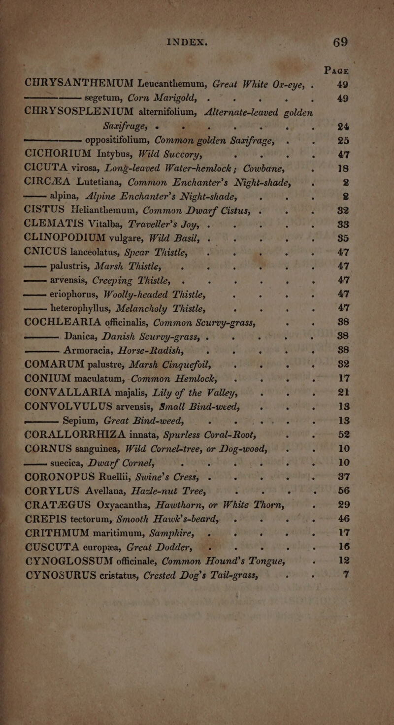 EY er ieee As Qe RY 2h Pen Ped me th a eR AM cei, bag ee et. ? Tae ® t 4 ei Oe eas re TMS 4, bs aa 3 f Sd * 7 INDEX. | ) 69 * a :, sii Pace y | CHRYSANTHEMUM Levene! Great White Ox-eye, . 49 . - segetum, Corn Marigold, . baa : 49 | CHRYSOSPLENIUM alternifolium, Alternate-leaved golden i Saxifruge, « ee ¥ Snes : 24 ; oppositifolium, Common golden Sazifrage, . - 25 _ CICHORIUM Intybus, Wild Succory, ‘ ‘ : : 47 _ CICUTA virosa, Long-leaved Water-hemlock ; Cowbane, . 18 _ CIRCA Lutetiana, Common Enchanter’s Night-shade, .« 2 alpina, Alpine Enchanter’s Night-shade, | : ° 2 % CISTUS Helianthemum, Common Dwarf Cistus, . : , 82 __ CLEMATIS Vitalba, Traveller’s Joy, . : é 2 33 CLINOPODIUM vulgare, Wild Basil, . L : ‘ 35 _ CNICUS lanceolatus, Spear Thistle, ~ vised . ° . 47 _ —— palustris, Marsh Thistle, . 3 : ieee : AT &gt; arvensis, Creeping Thistle, . 3 - : : 3 47 _ ——-eriophorus, Woolly-headed Thistle, . . ° : 47 _ —— heterophyllus, Melancholy Thistle, : : ; : 47 — COCHLEARIA officinalis, Common Scurvy-grass, . : 38 Danica, Danish Scurvy-grass, . . . . 38 Armoracia, Horse-Radish, : ‘ : ; 88 _ COMARUM palustre, Marsh Cinquefoil, : : gee ee, 82 CONIUM maculatum, Common Hemlock, . : : : 17 CONVALLARIA majalis, Lily of the Valley, : : : 21 CONVOLVULUS arvensis, Small Bind-weed, d aay , 13 ; Sepium, Great Bind-weed, 3 4 sete, : 13 - CORALLORRHIZA innata, Spurless Coral- Root, 3 d 52 CORNUS sanguinea, Wild Cornel-tree, or Dog-wood, . : 10 suecica, Dwarf Cornel, : ‘5 wee 3 e 10 - CORONOPUS Ruellii, Swine’s Cress, - + +6 ss 87 ' CORYLUS Avellana, Haxle-nut Tree, : ot PAZEU L8G CRATAZGUS Oxyacantha, Hawthorn, or White Thorn, : 29 CREPIS tectorum, Smooth Hawk’s-beard, . 3 4 A 46 CRITHMUM maritimum, Samphire, . : : : . 17 CUSCUTA europea, Great Dodder, oh é . - é 16 CYNOGLOSSUM officinale, Common Hound’s Tongue, F 12 CYNOSURUS cristatus, Crested Dog’s Tail-grass, ° ‘ 7